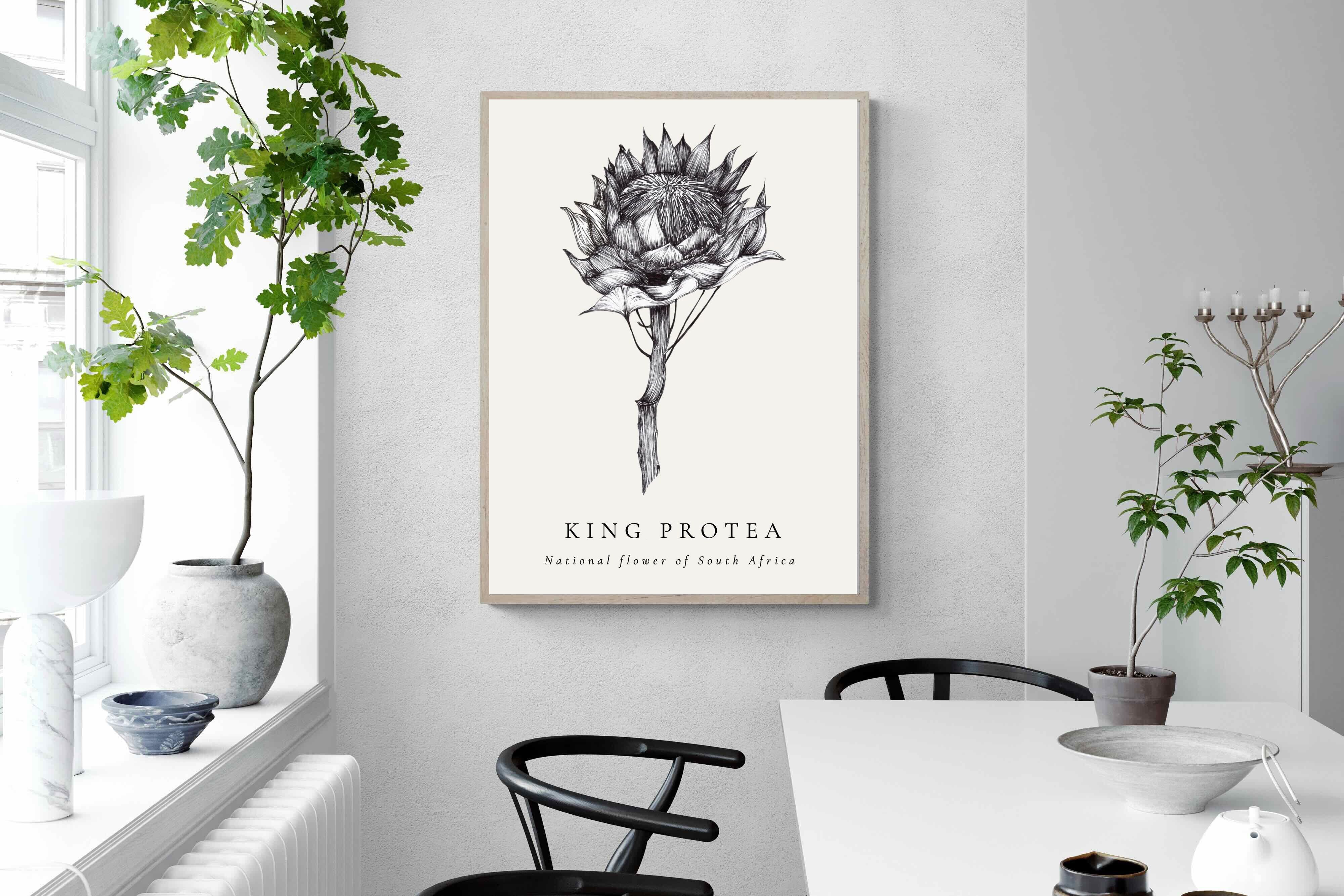 Pixalot ® King Protea Illustration