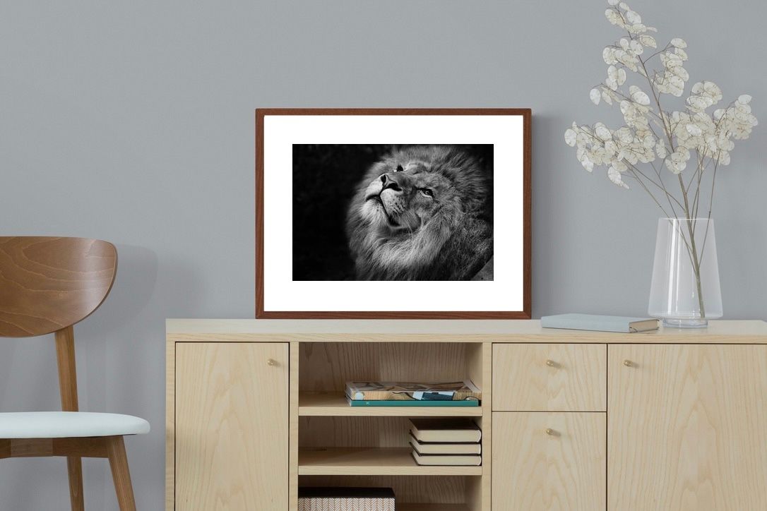 Pixalot ® King's Gaze