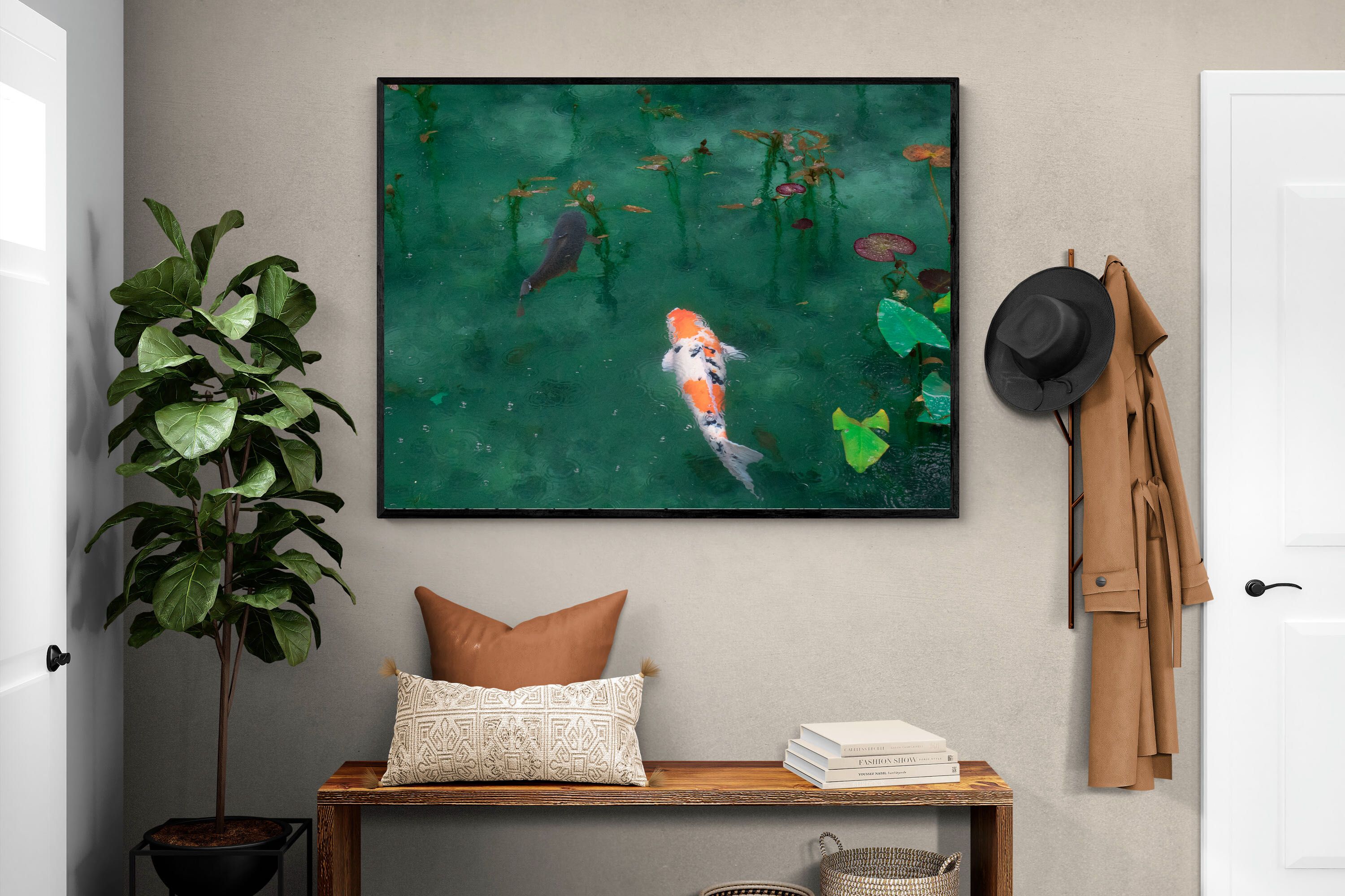 Pixalot Koi Pond