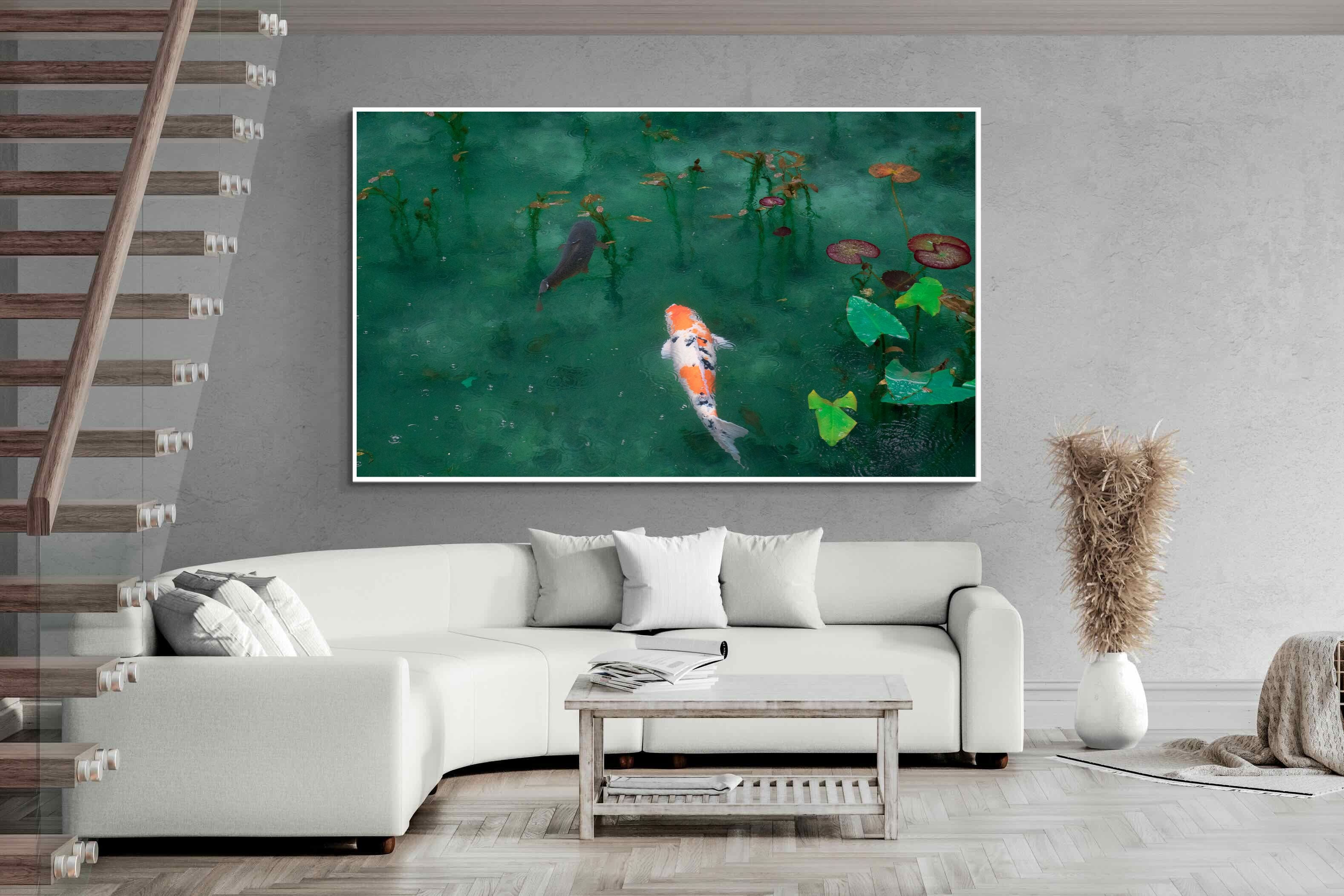 Pixalot Koi Pond