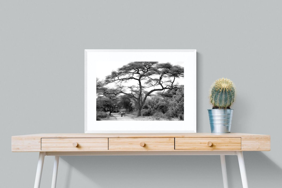 Pixalot ® Kruger Footpath