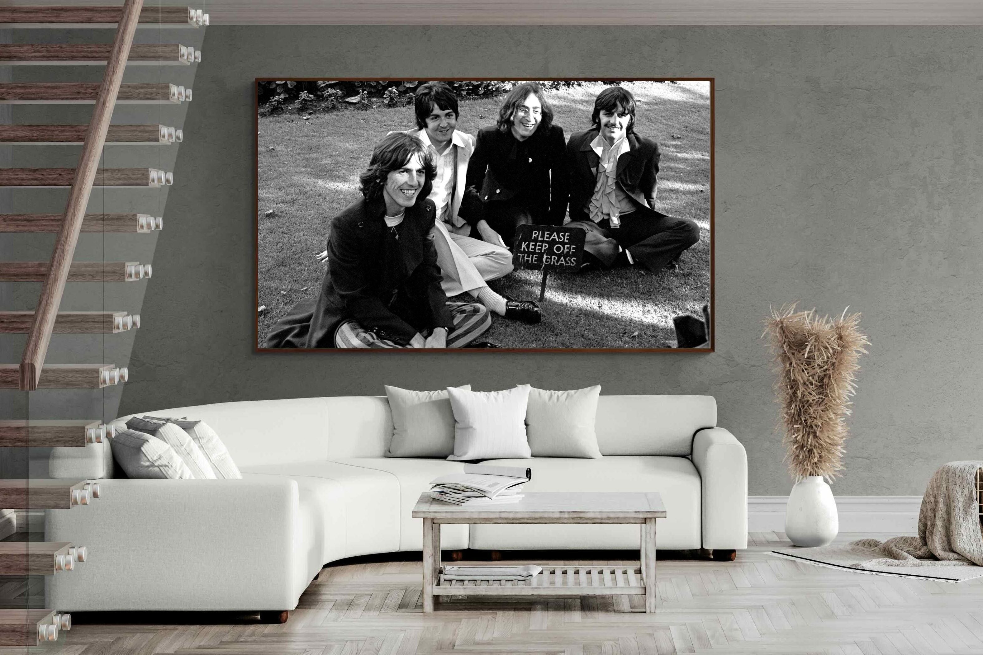 Pixalot ® Lawn Beatles