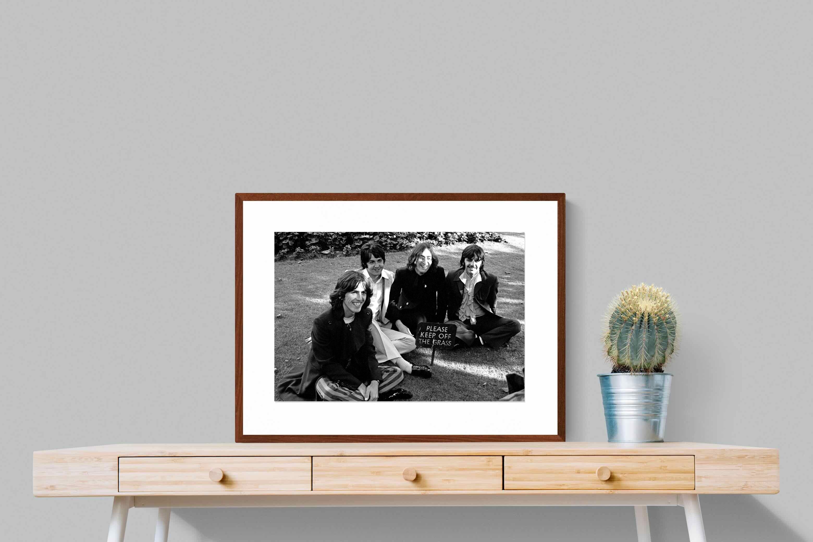 Pixalot ® Lawn Beatles