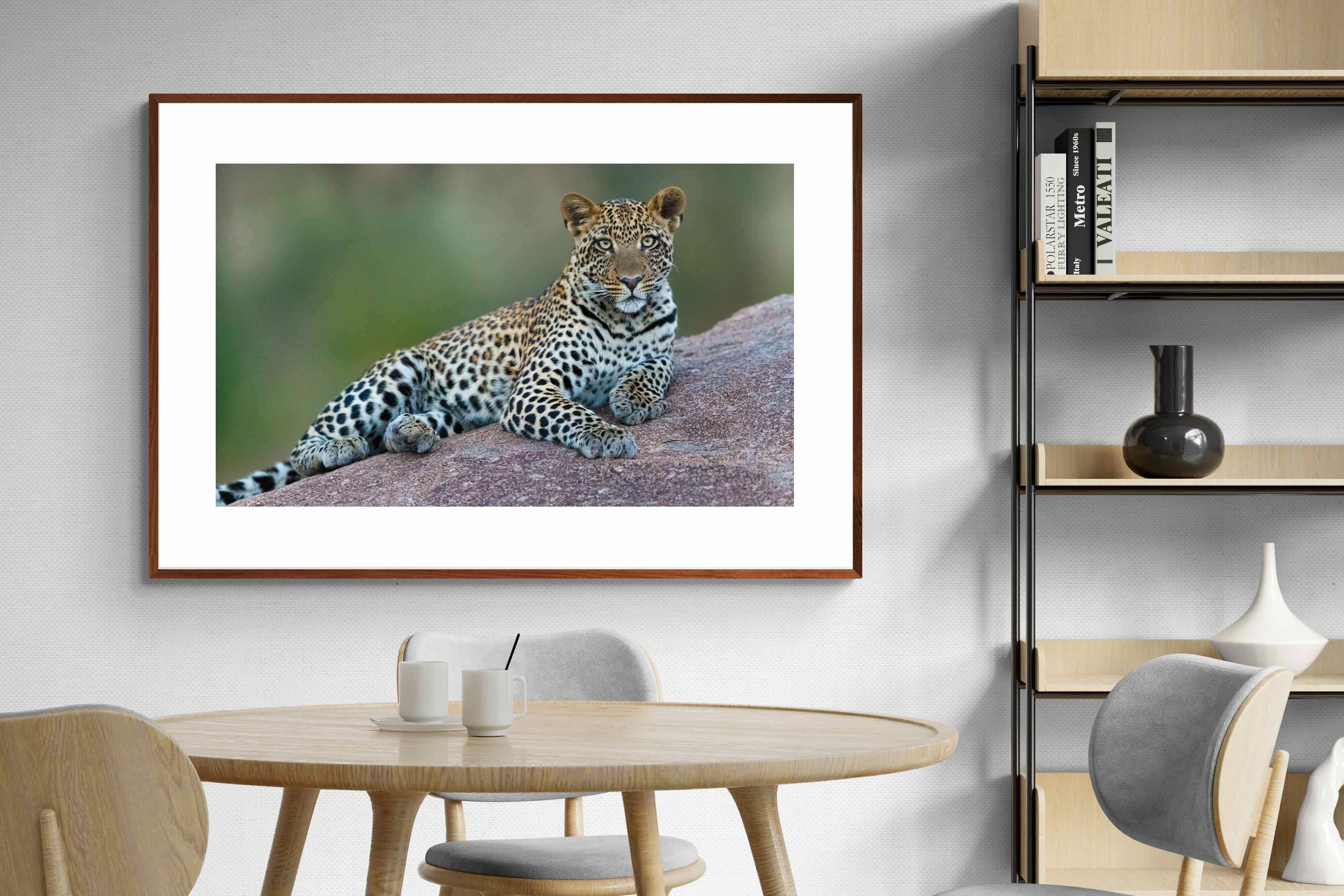 Pixalot ® Laying Leopard
