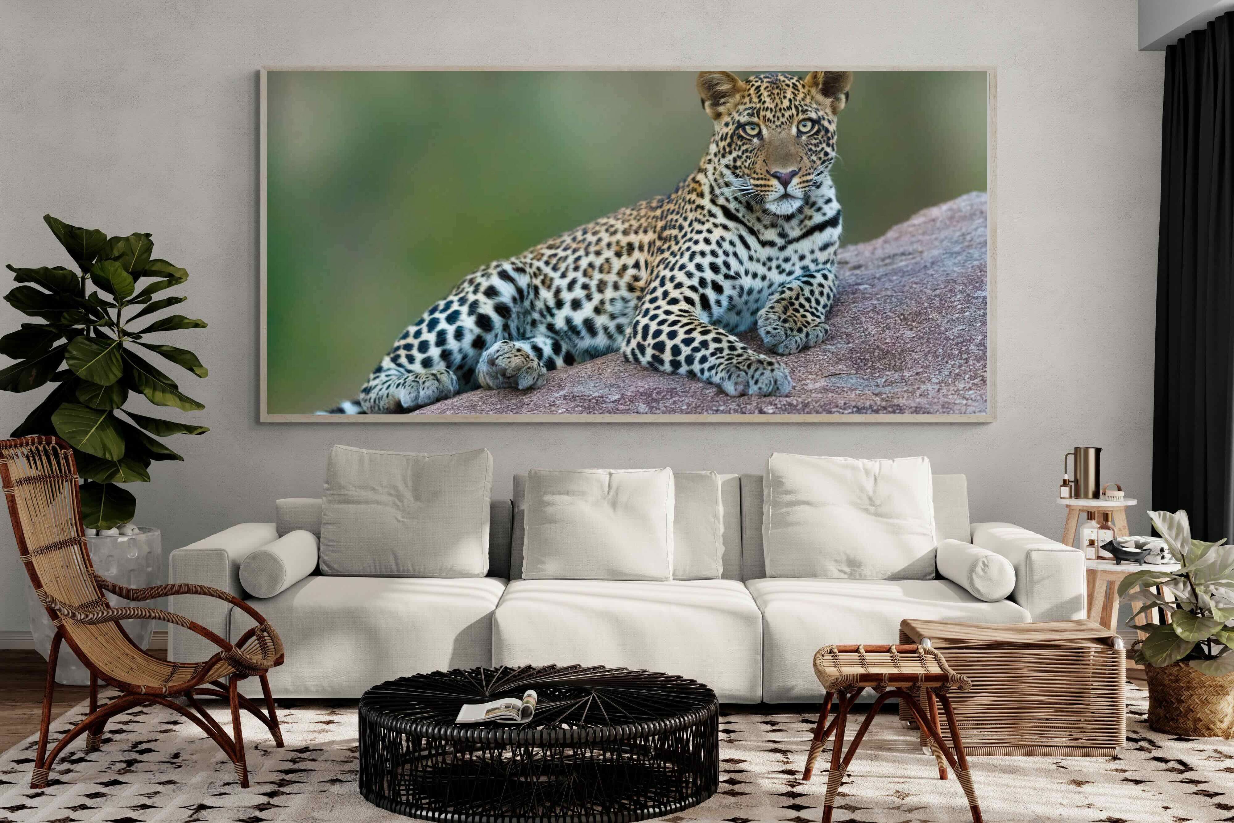 Pixalot ® Laying Leopard