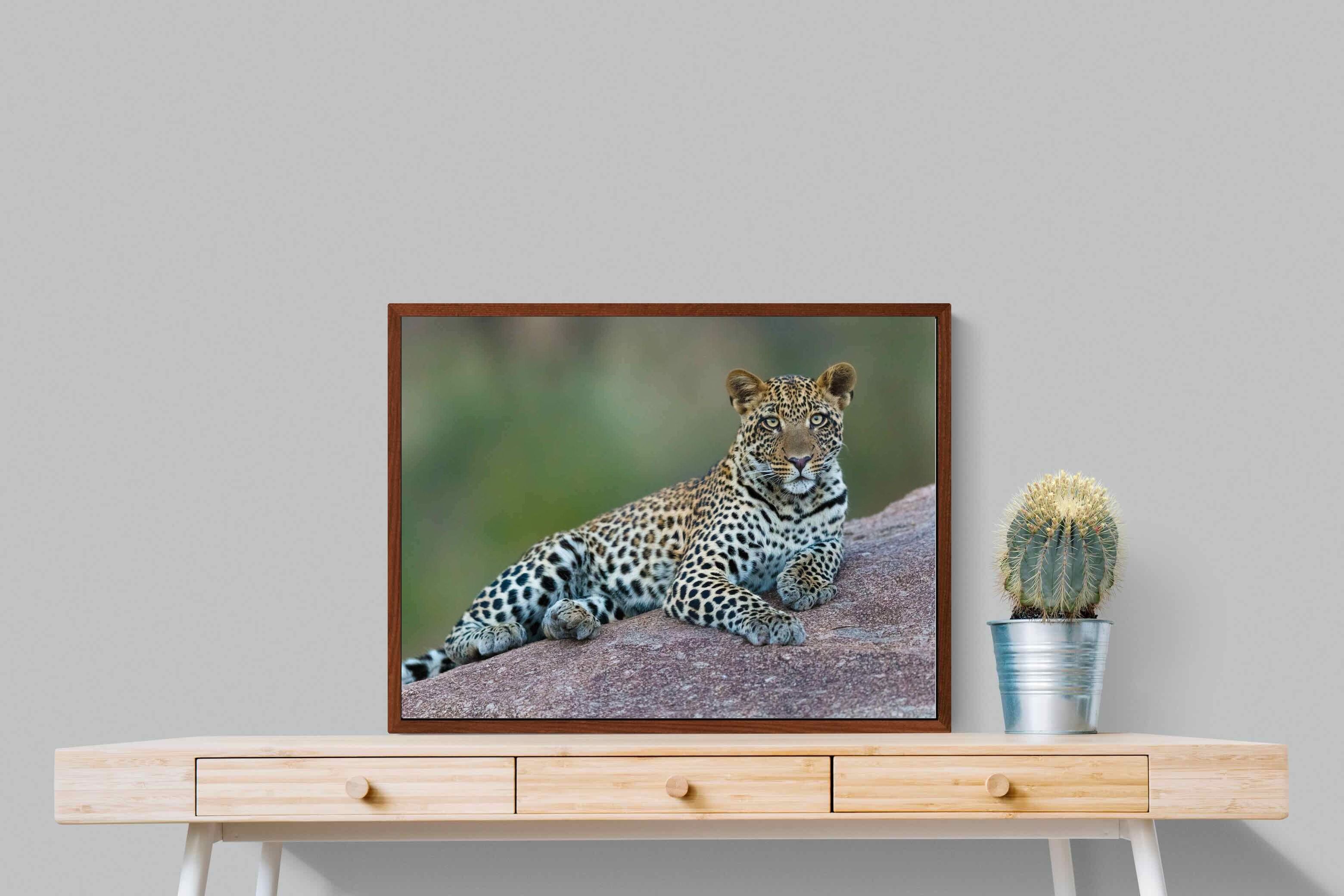 Pixalot ® Laying Leopard