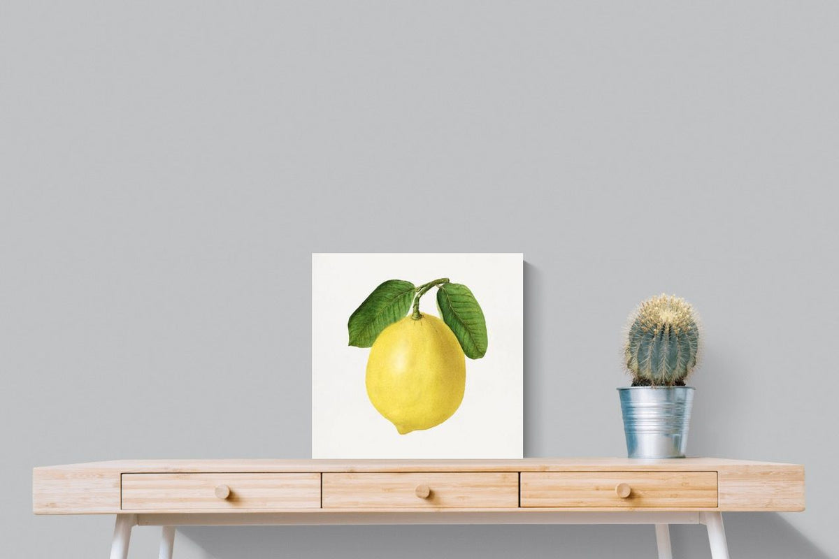 Pixalot ® Lemon