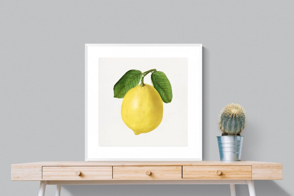 Pixalot ® Lemon