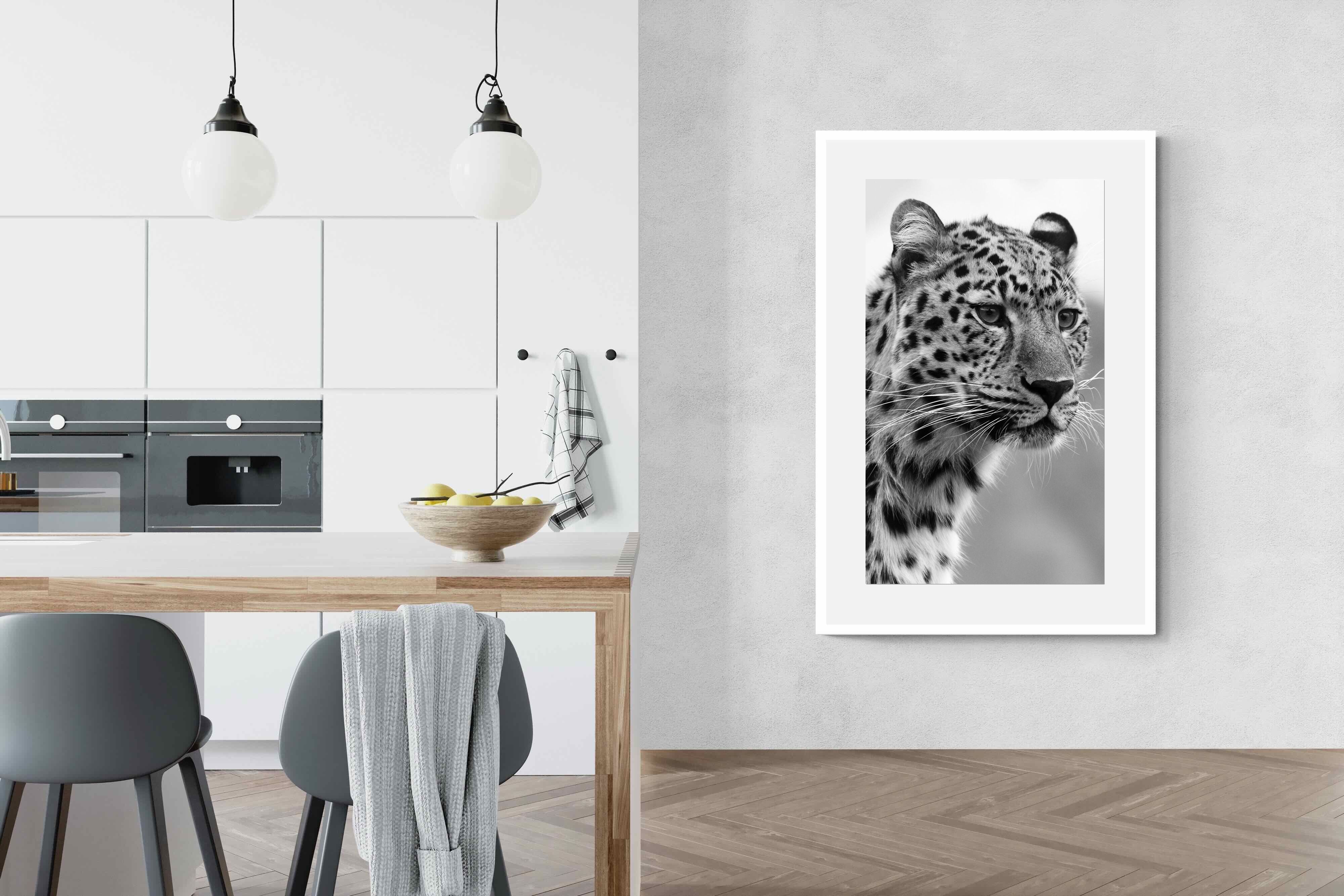 Pixalot Leopard Focus