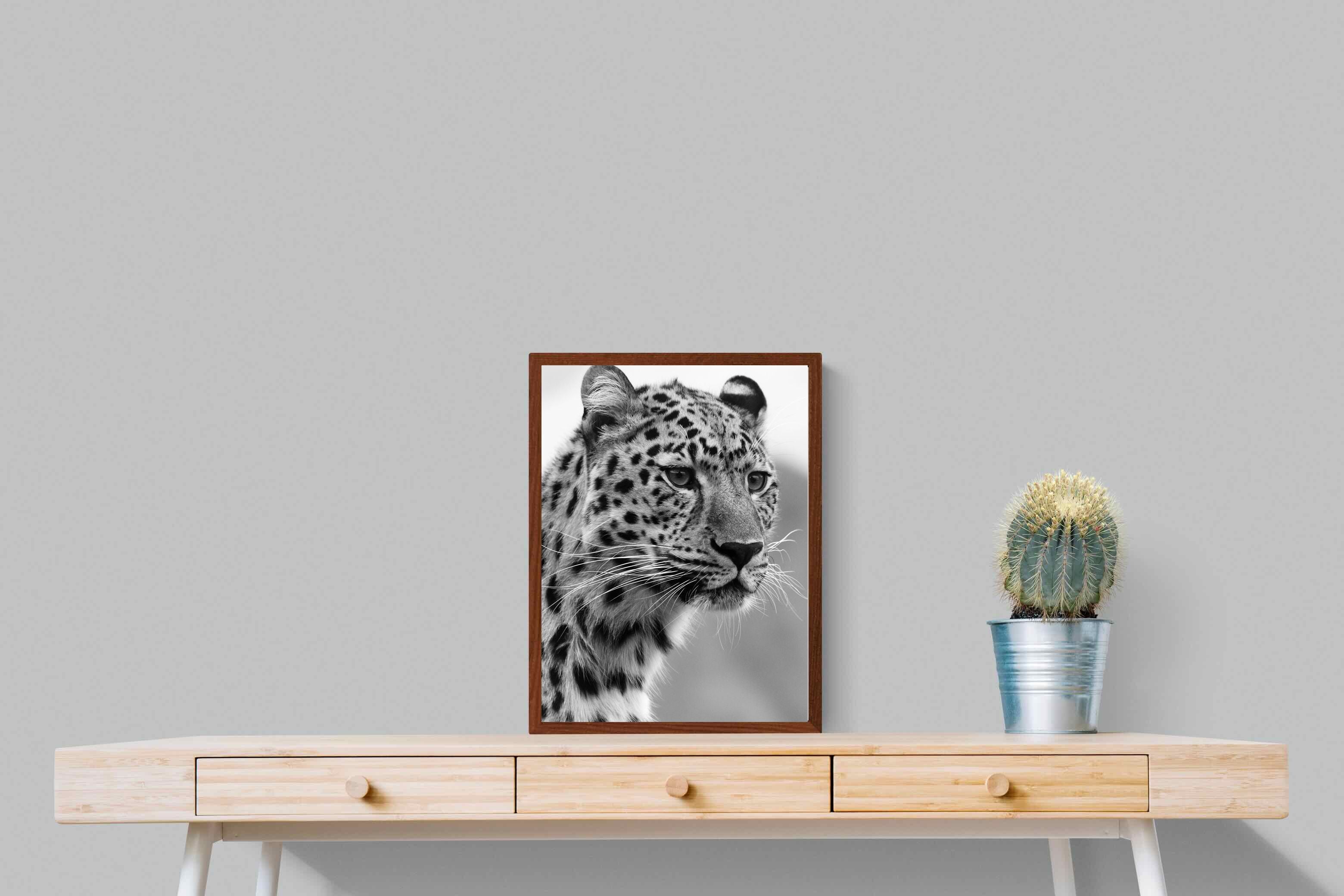 Pixalot Leopard Focus