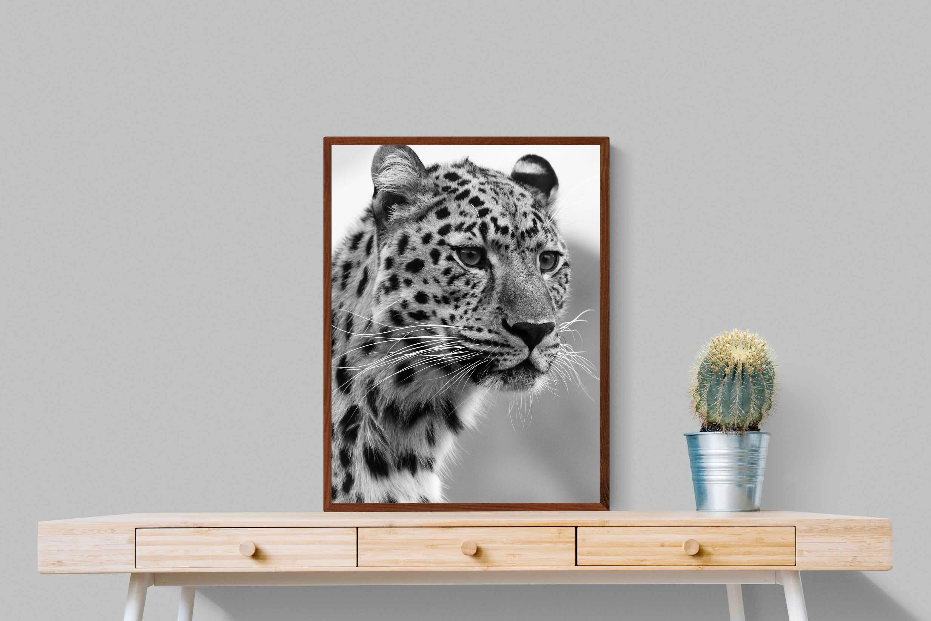 Pixalot Leopard Focus
