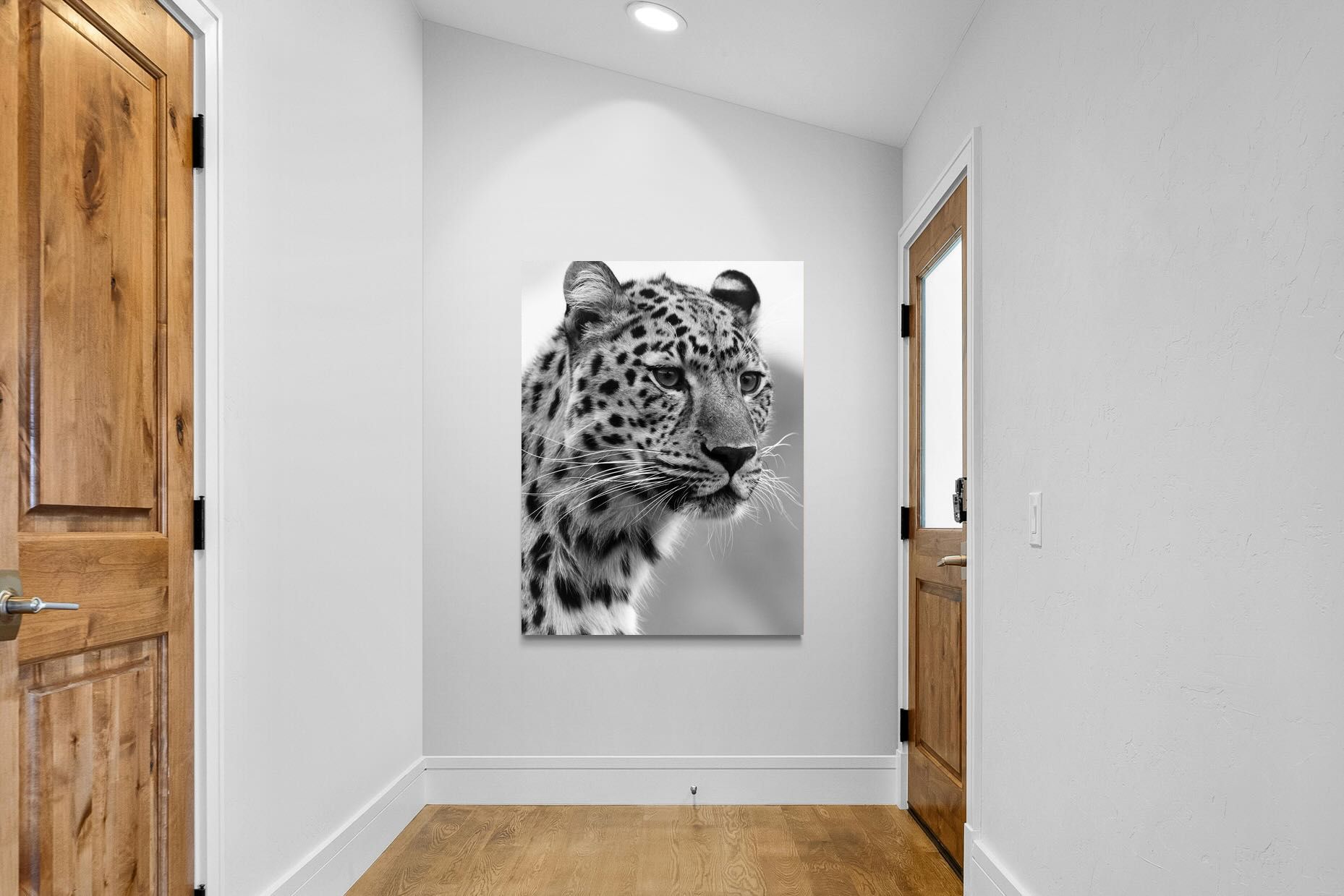 Pixalot Leopard Focus
