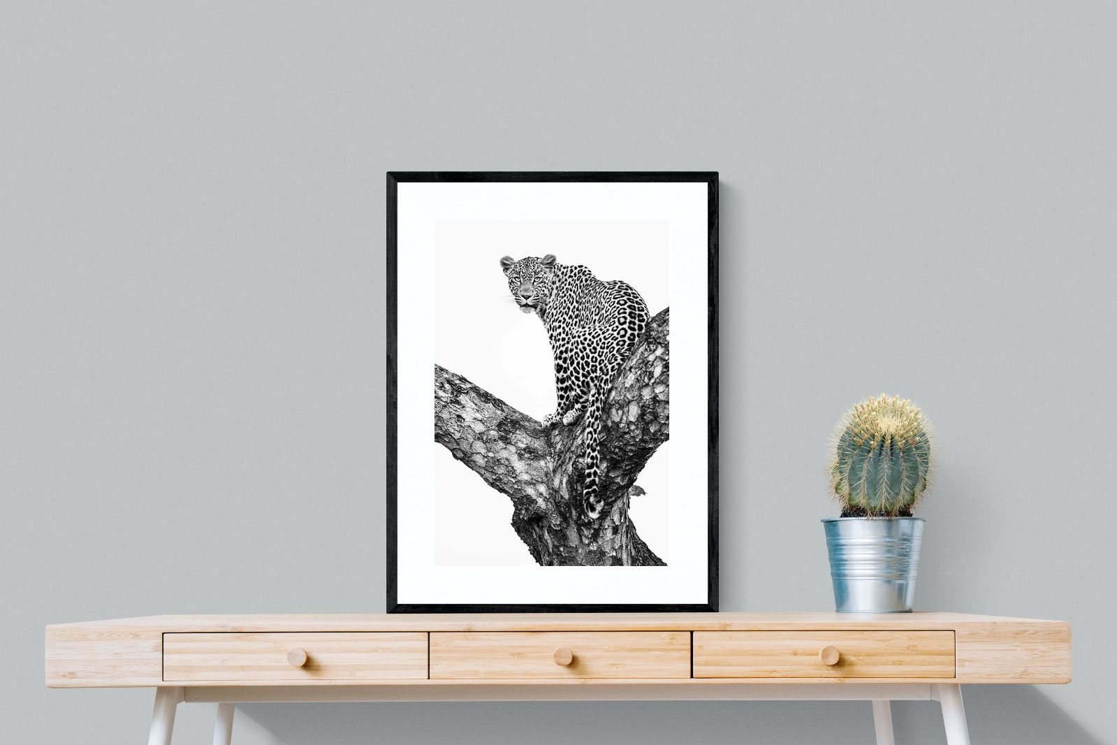 Pixalot ® Leopard in the Tree