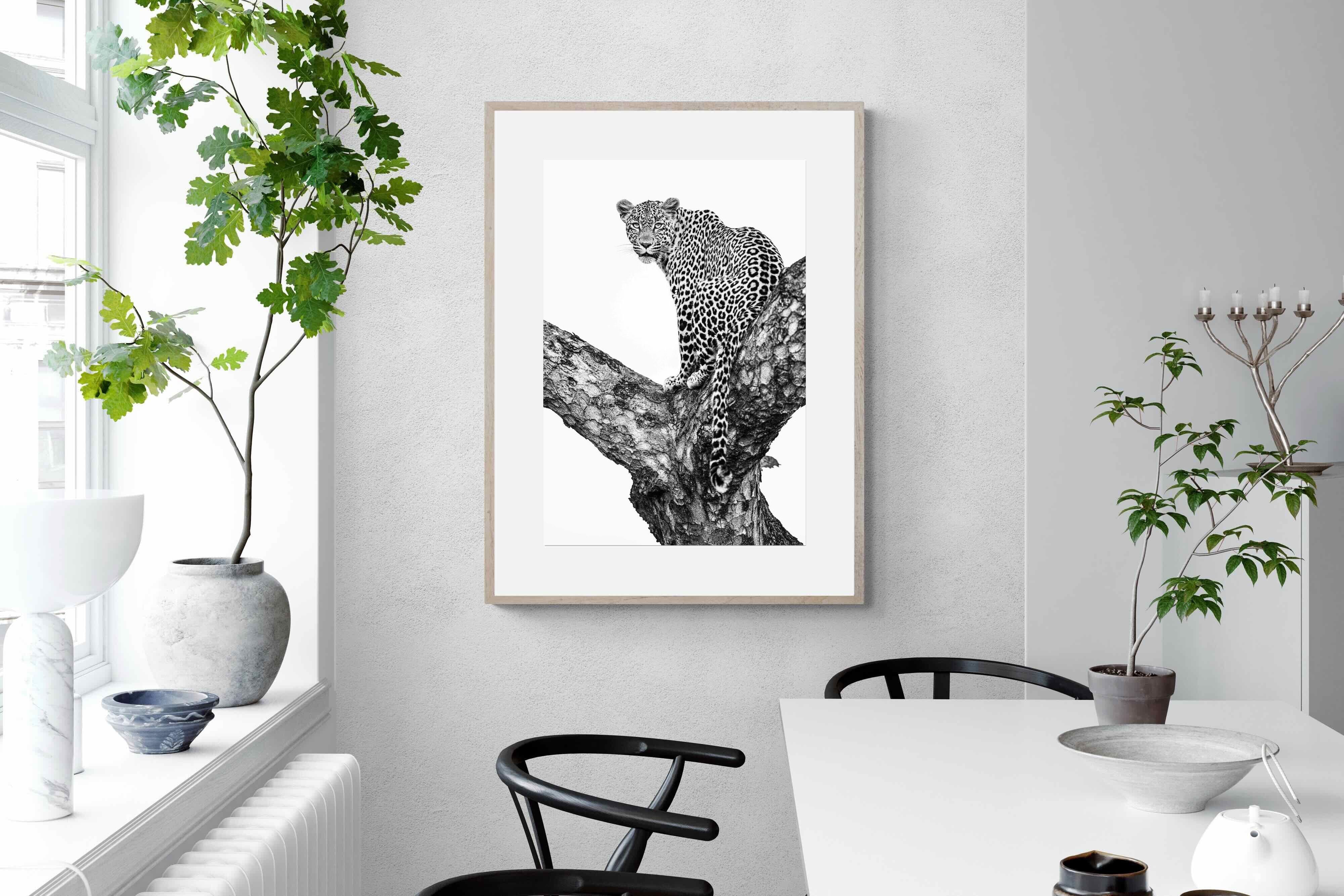 Pixalot ® Leopard in the Tree