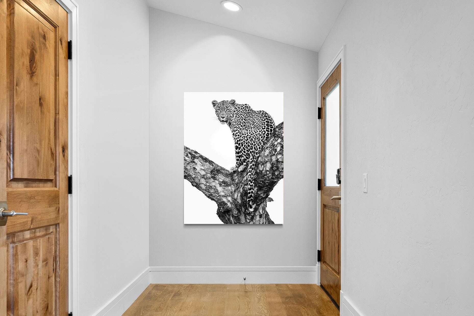 Pixalot ® Leopard in the Tree