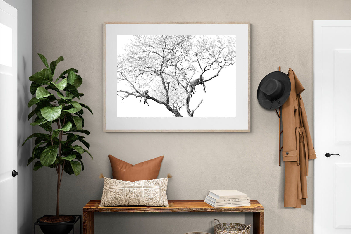 Pixalot ® Leopard Tree