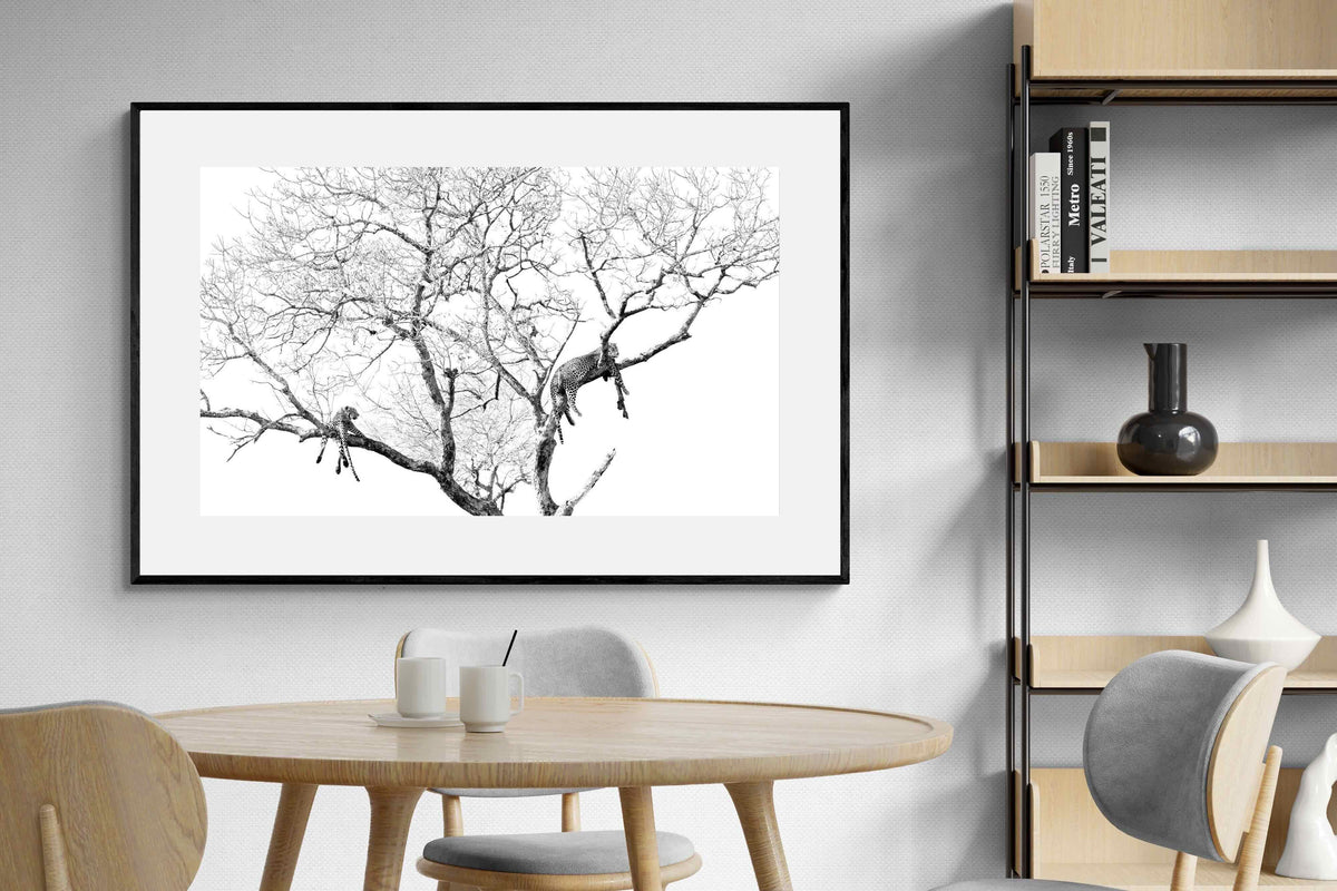 Pixalot ® Leopard Tree