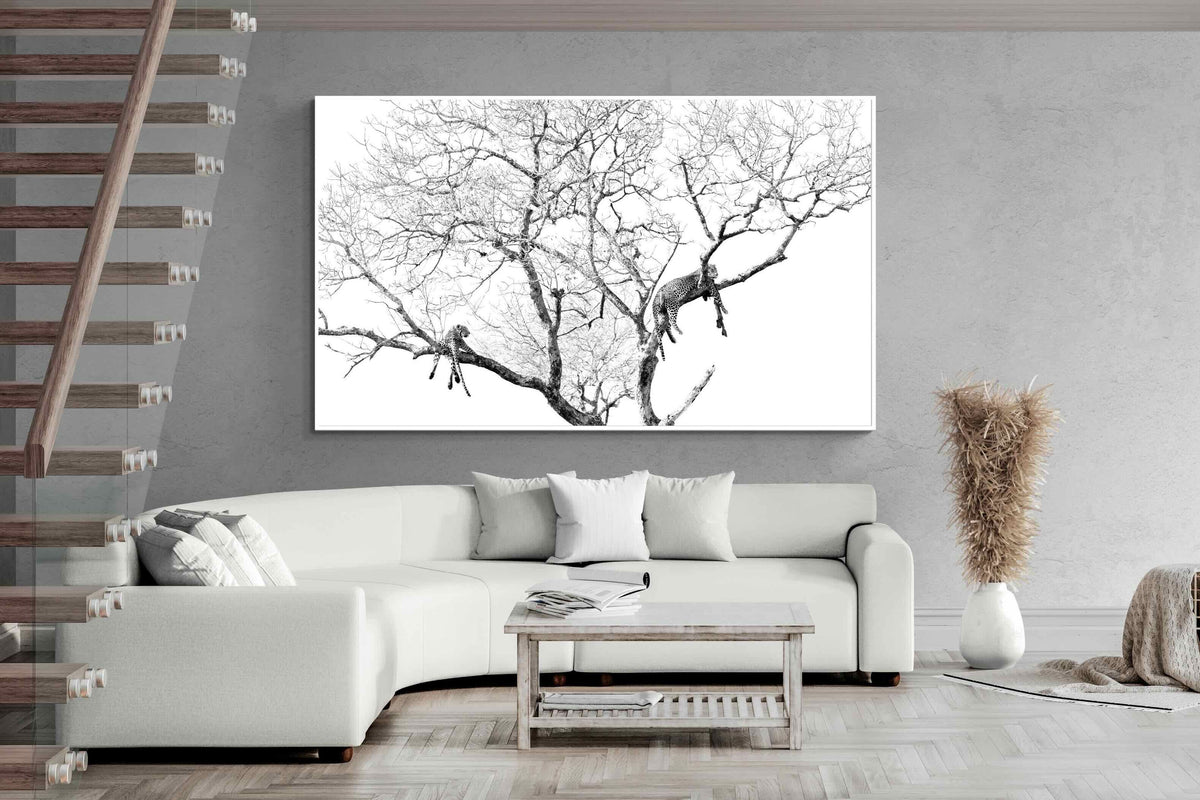 Pixalot ® Leopard Tree