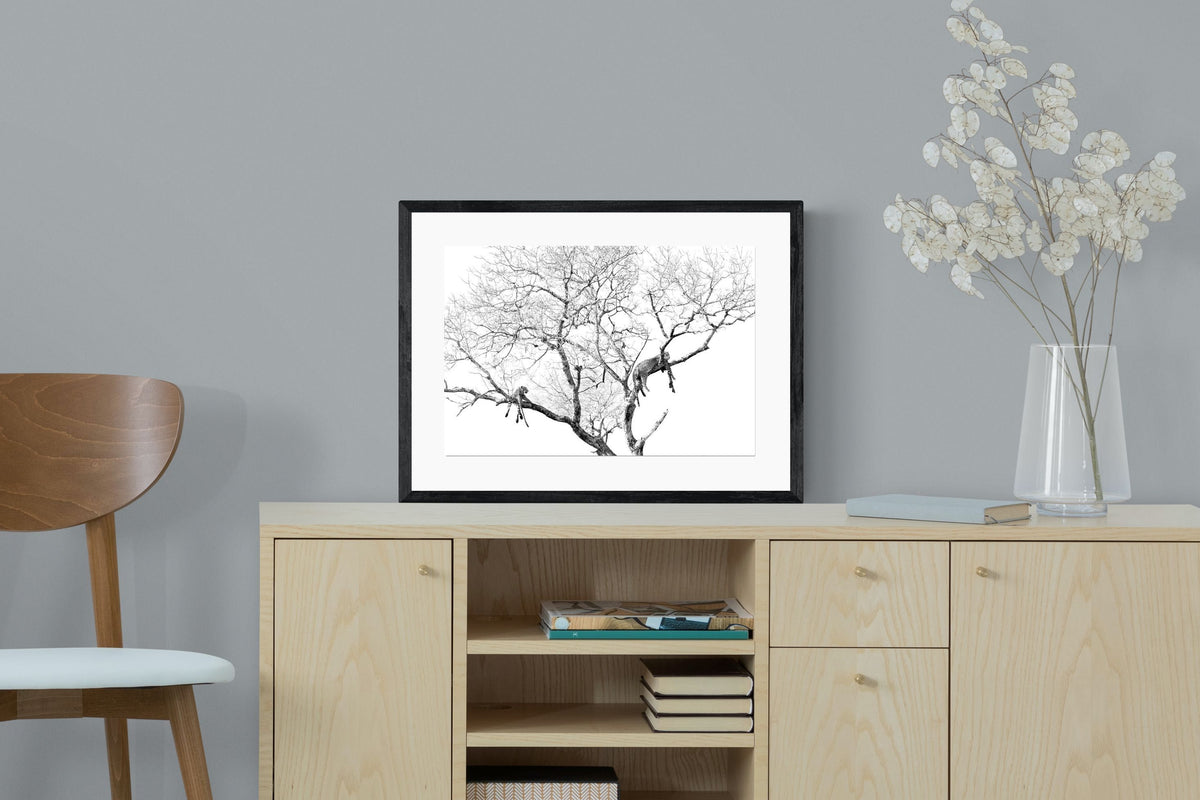 Pixalot ® Leopard Tree