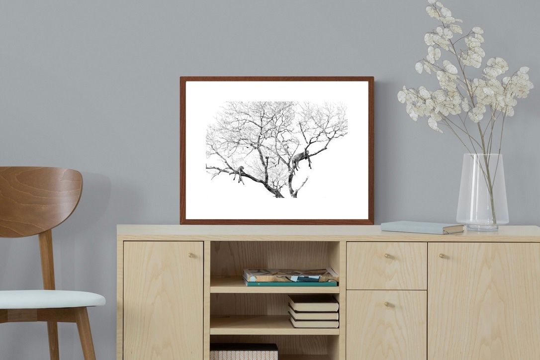 Pixalot ® Leopard Tree