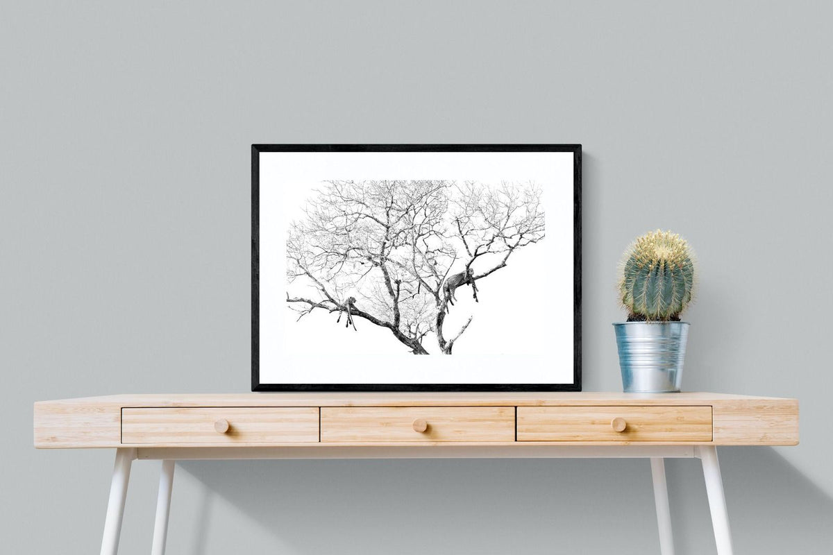 Pixalot ® Leopard Tree