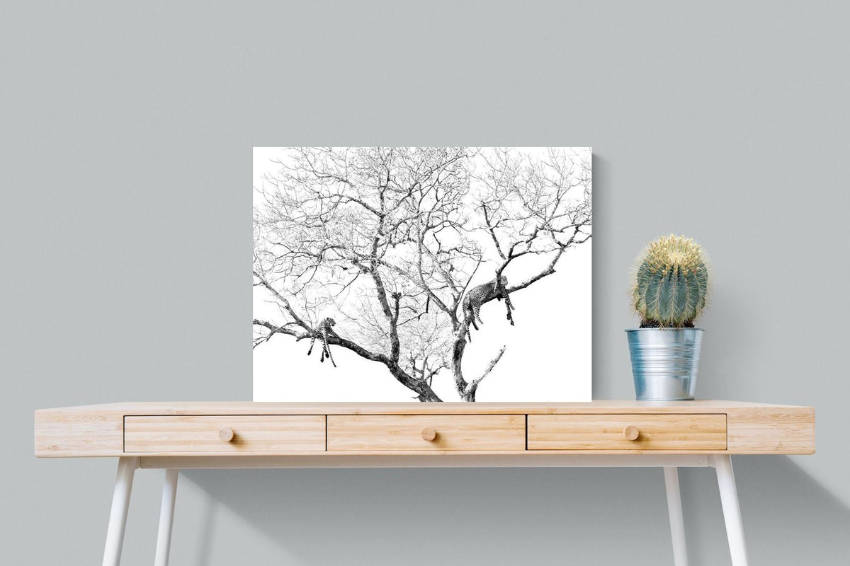 Pixalot ® Leopard Tree