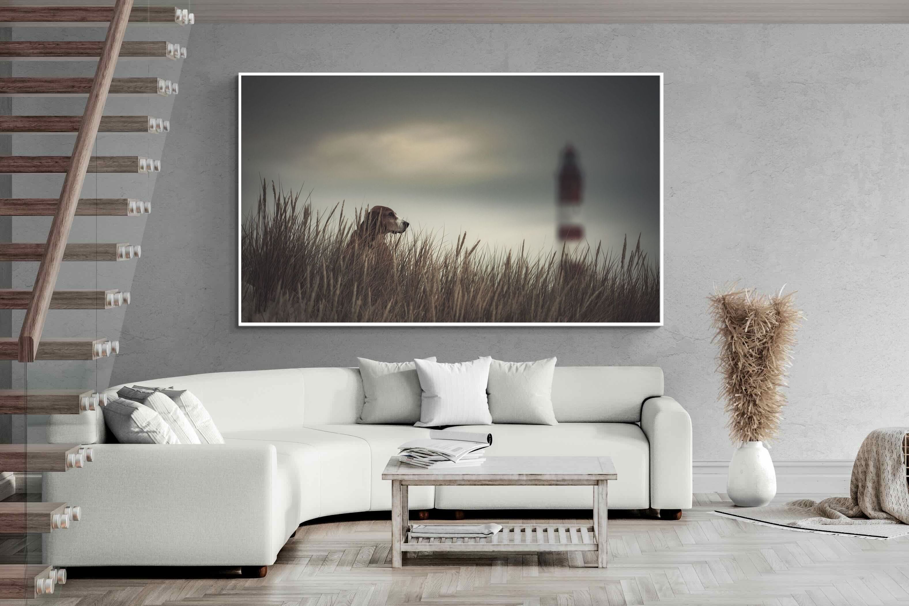 Pixalot Lighthouse Watch