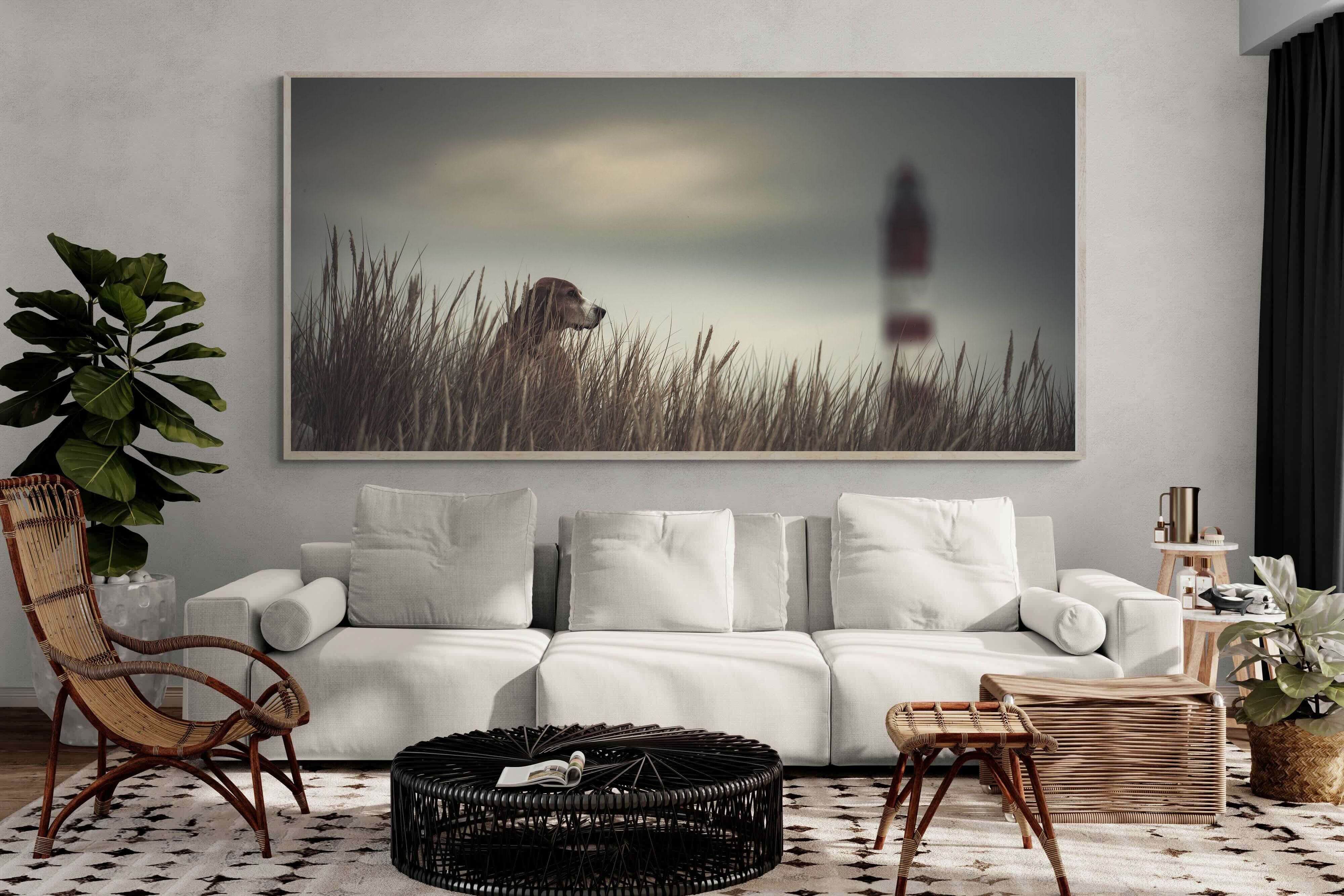 Pixalot Lighthouse Watch