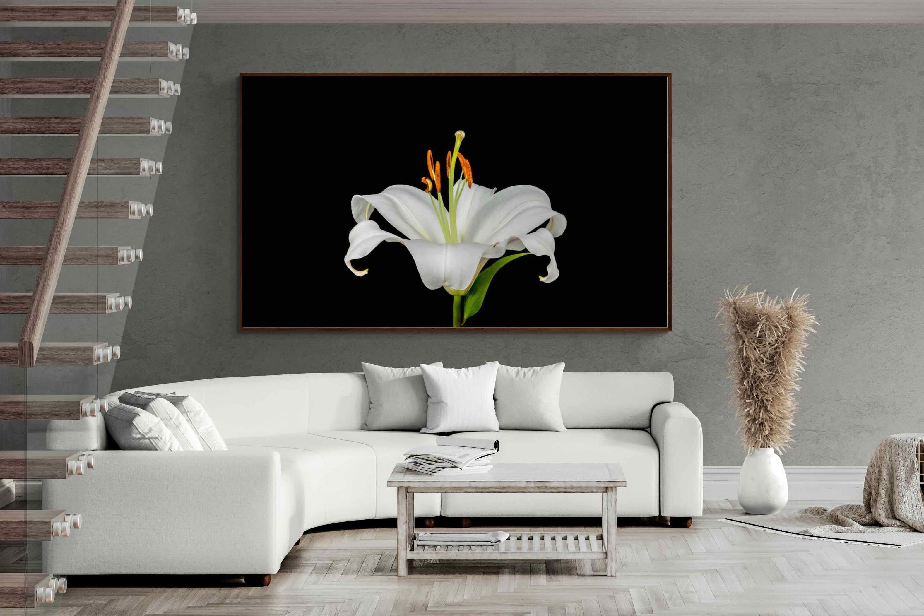 Pixalot ® Lilium on Black