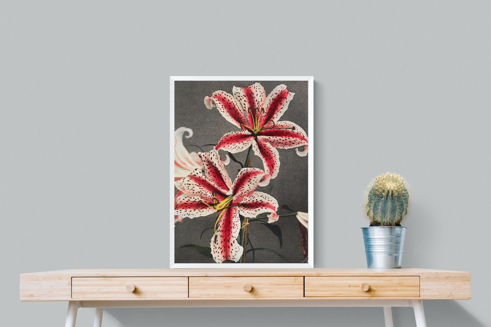 Pixalot Lily #3