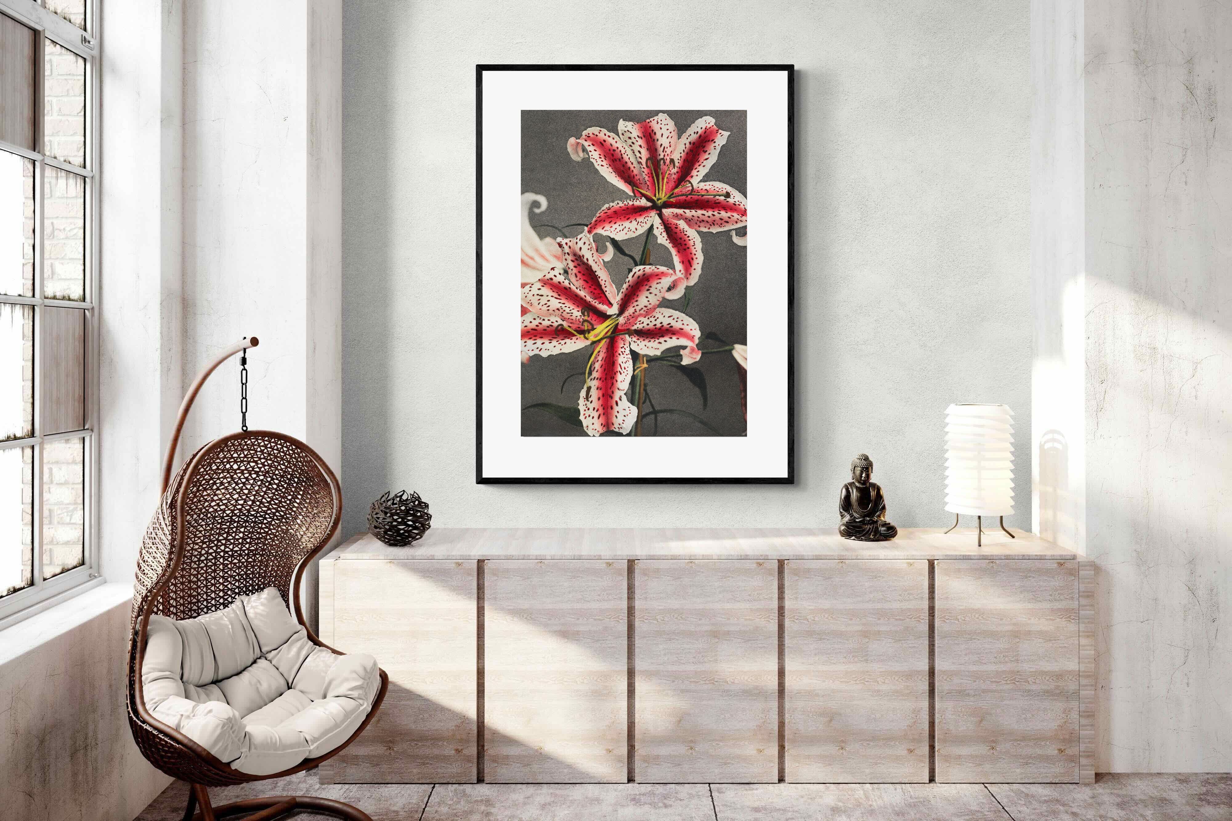 Pixalot Lily #3