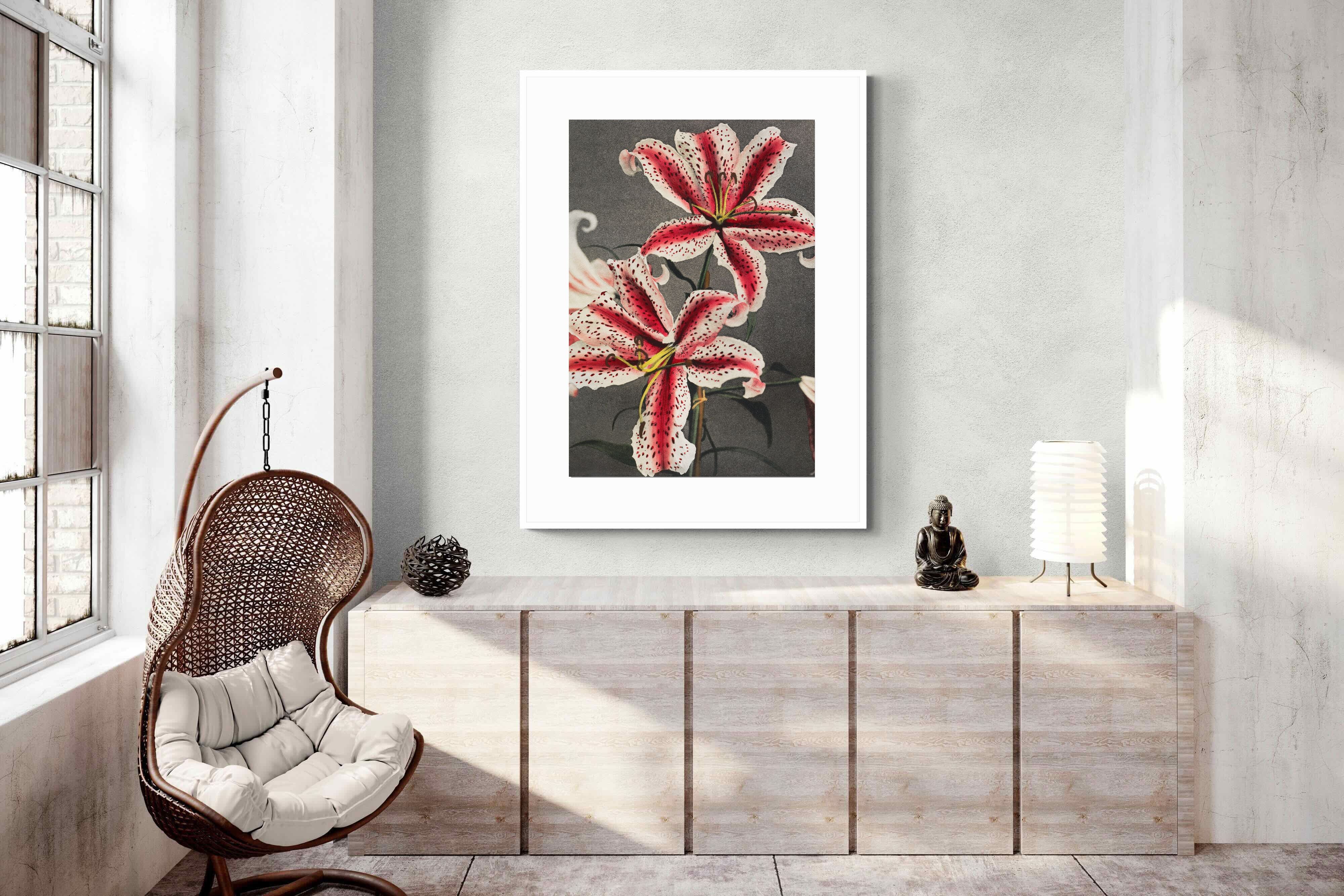 Pixalot Lily #3
