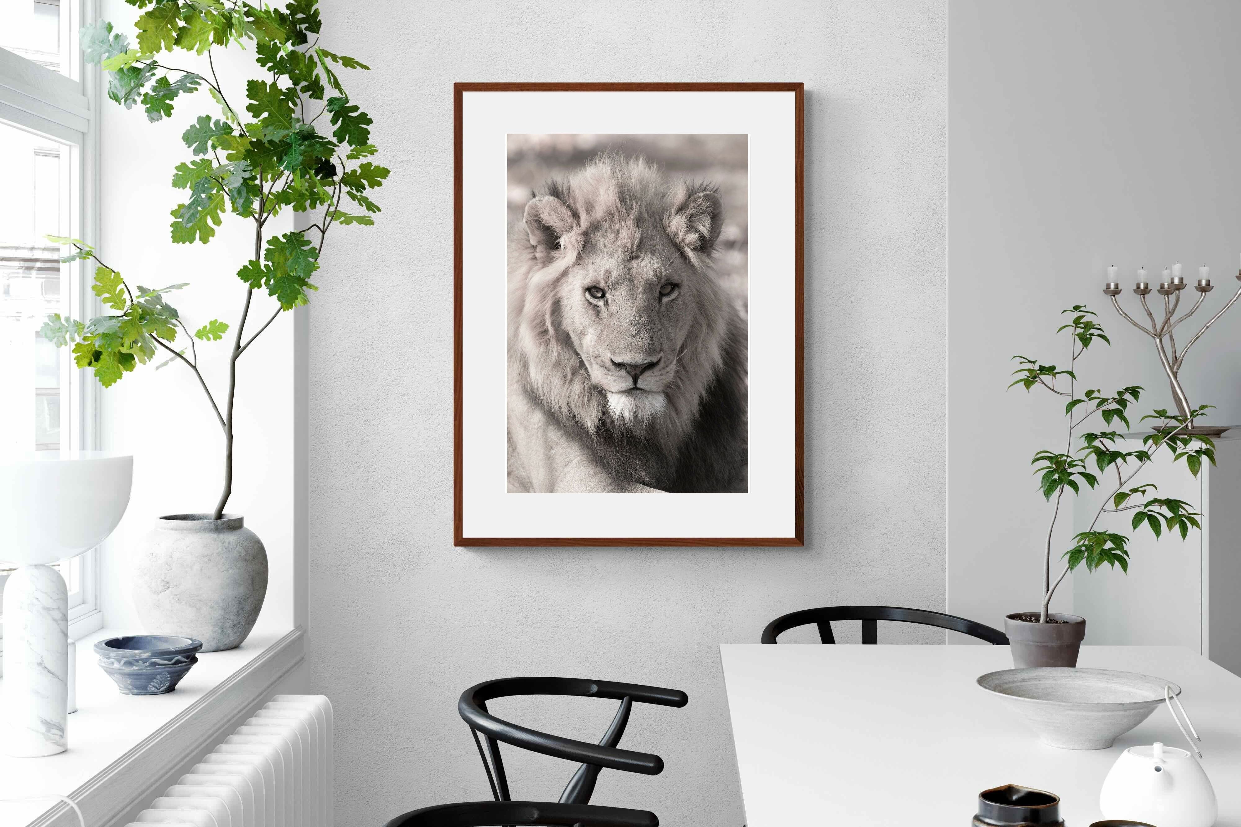 Pixalot Lion Eyes
