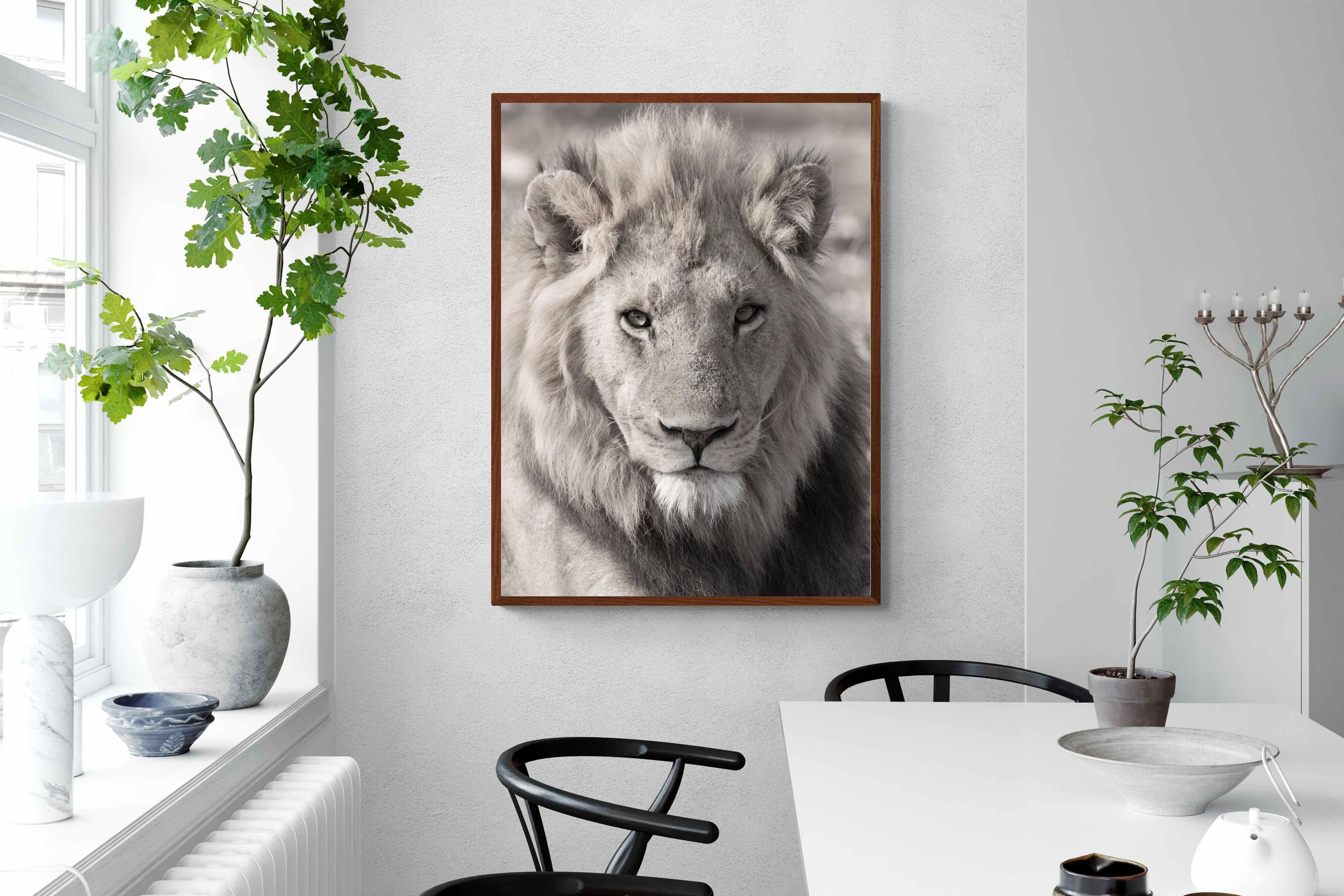 Pixalot Lion Eyes