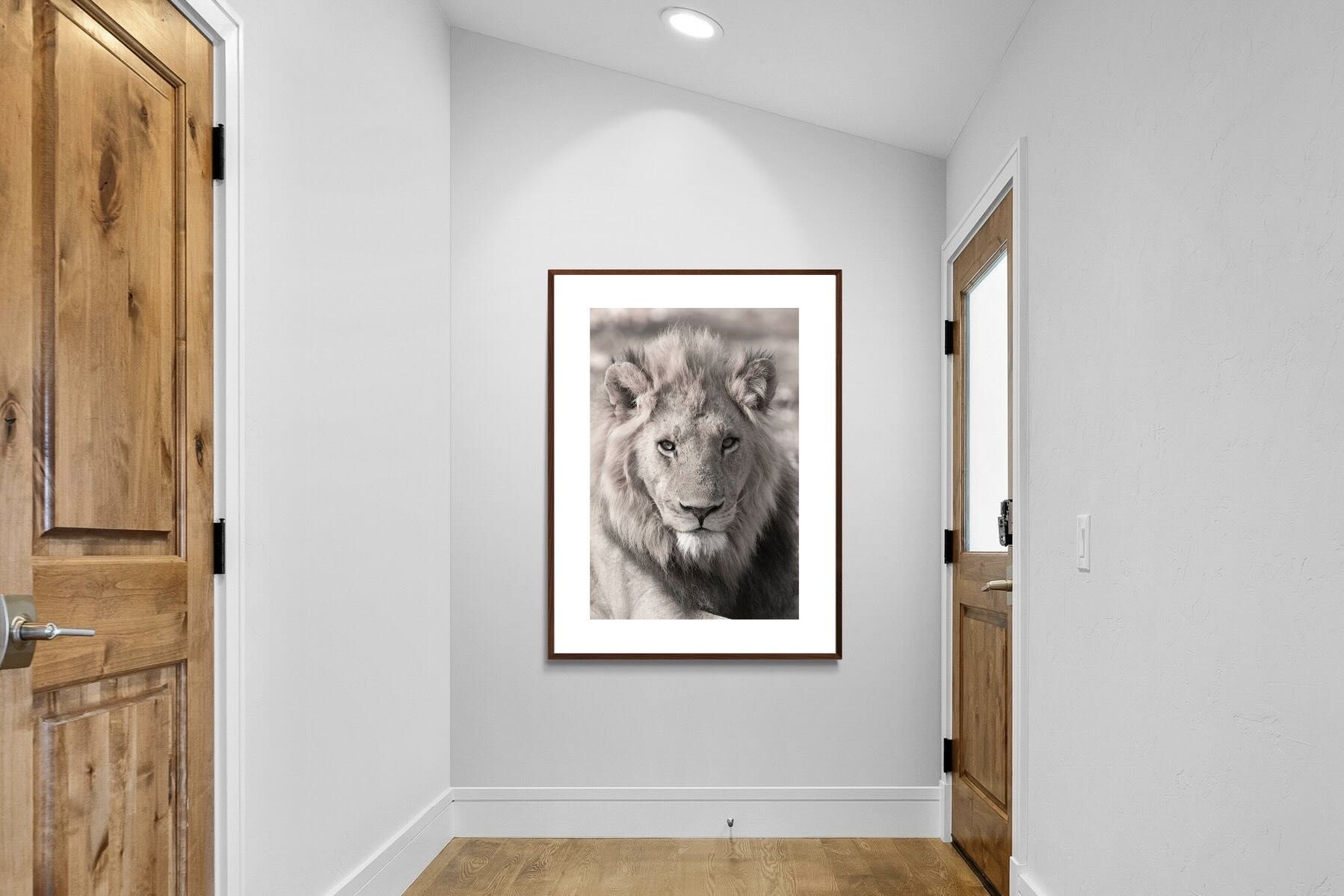 Pixalot Lion Eyes