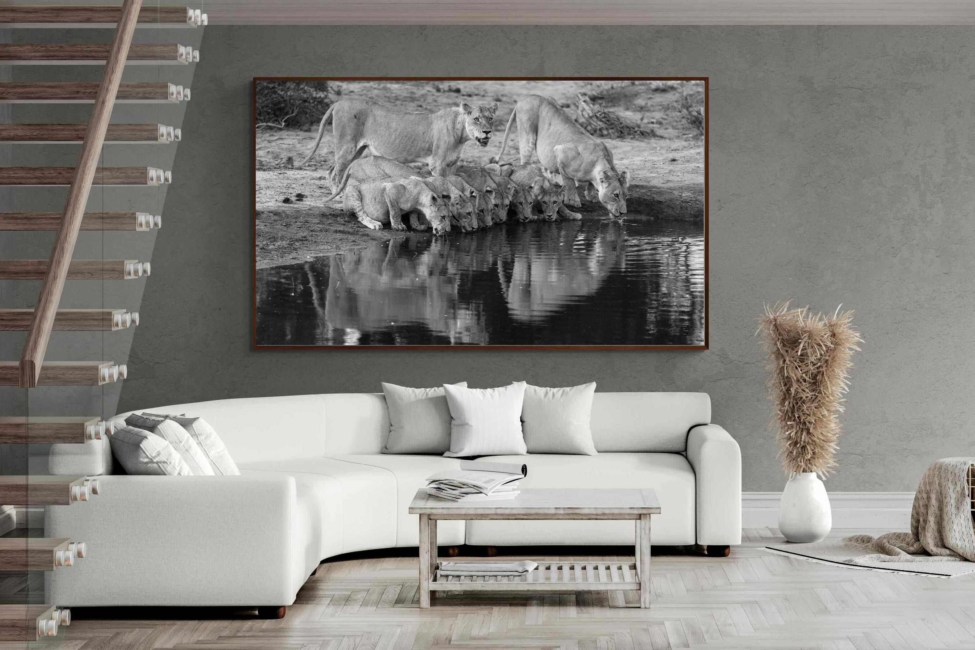 Pixalot ® Lion Lake Family