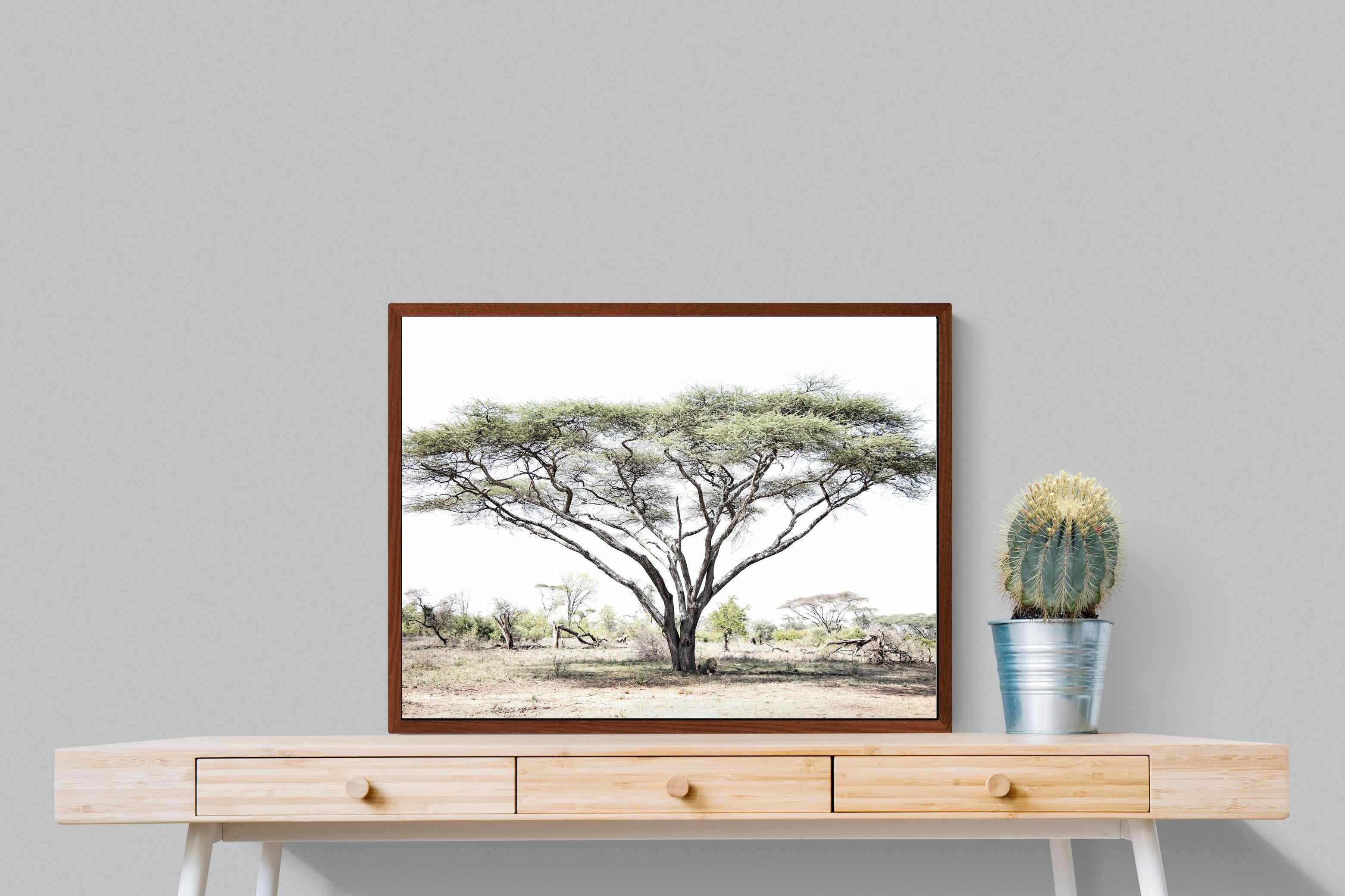 Pixalot Lion Under Umbrella Tree