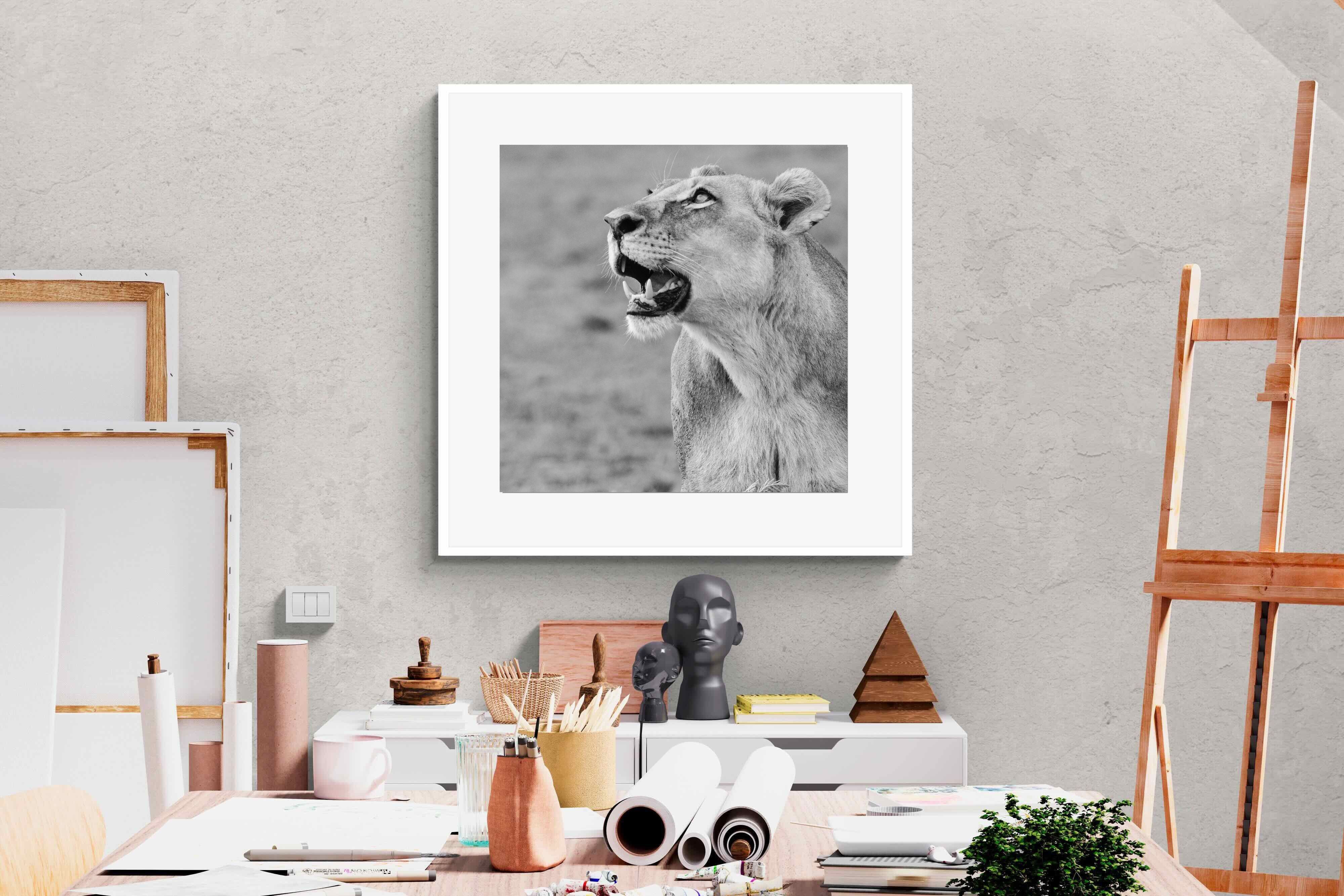 Pixalot Lioness Glance