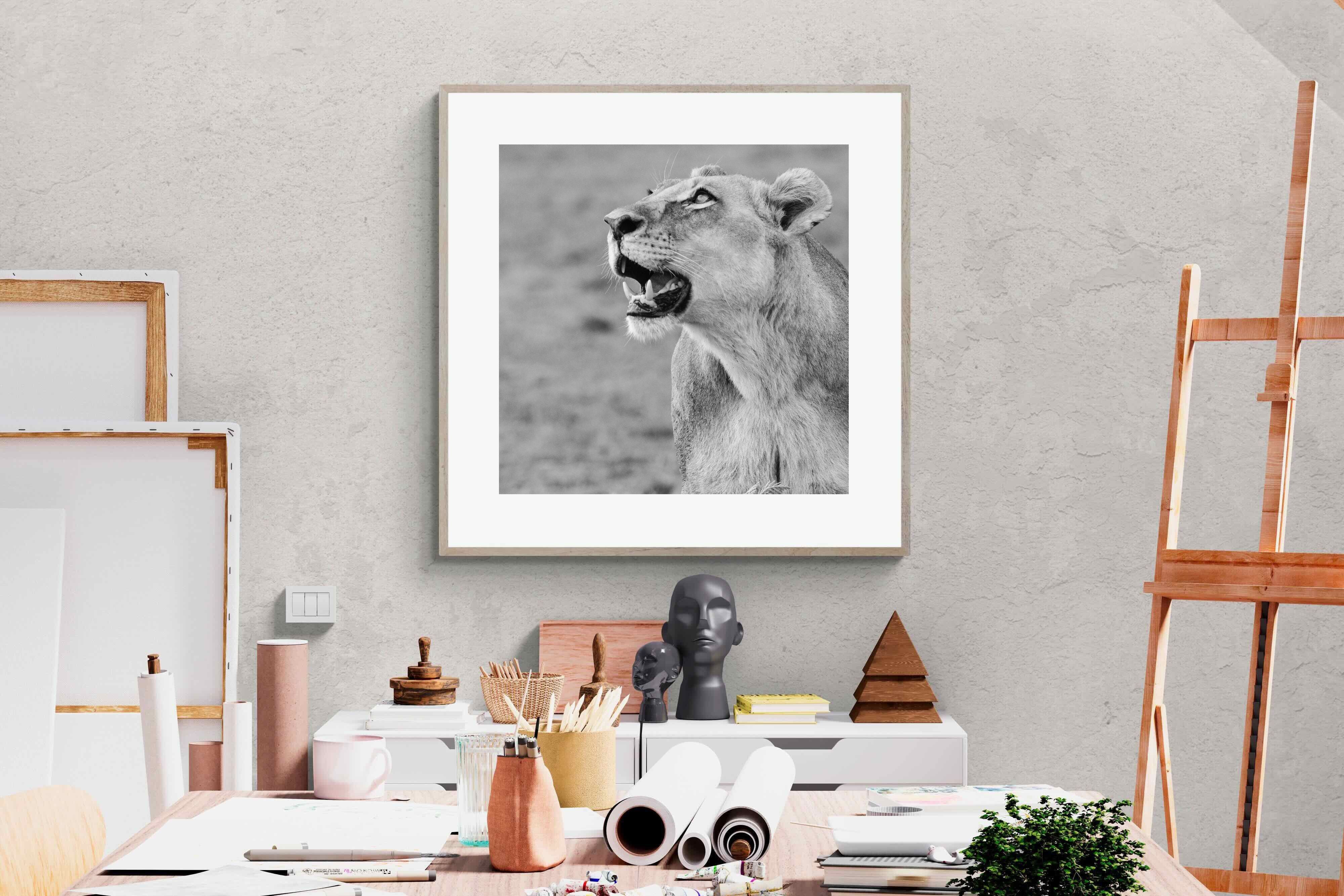 Pixalot Lioness Glance