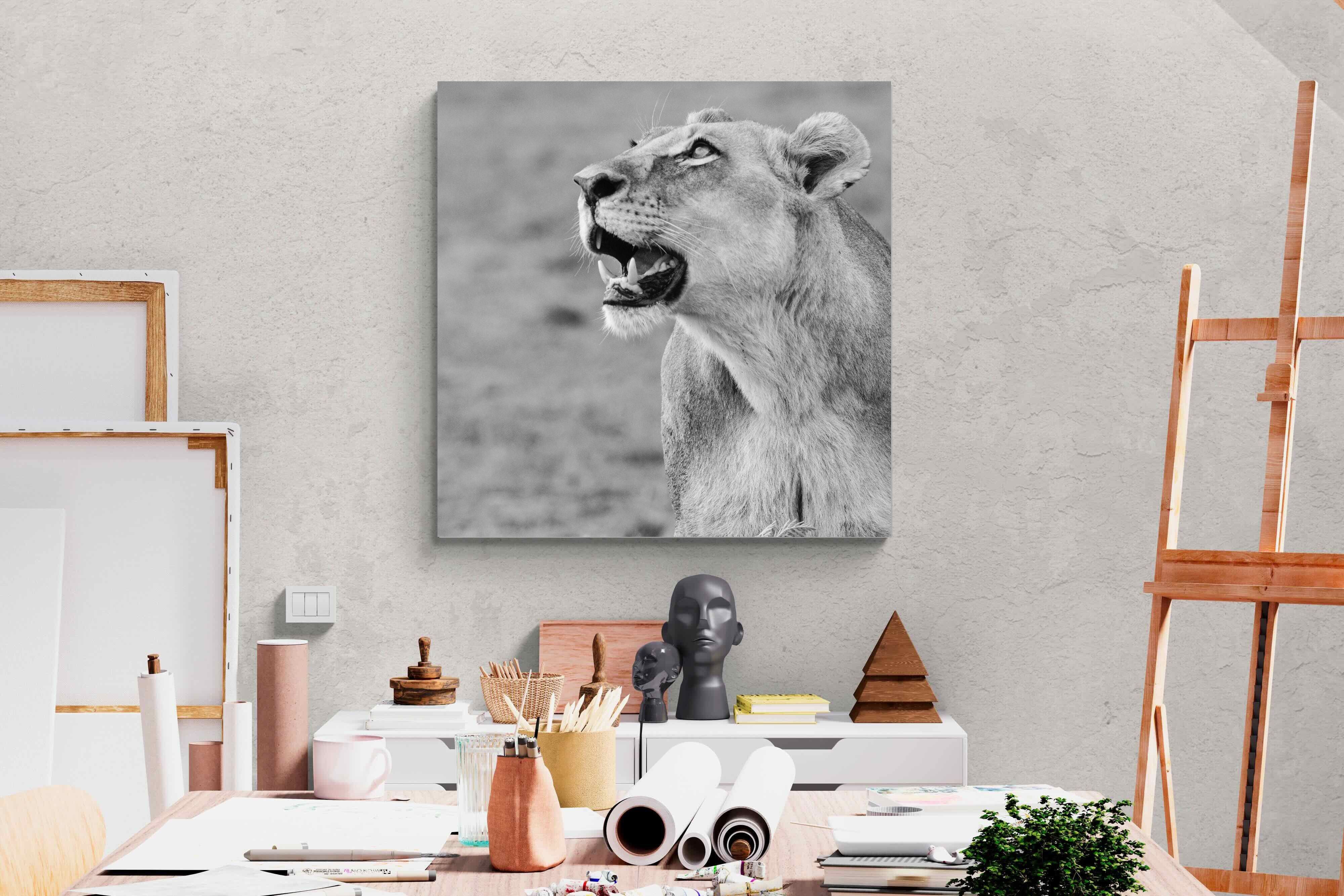 Pixalot Lioness Glance