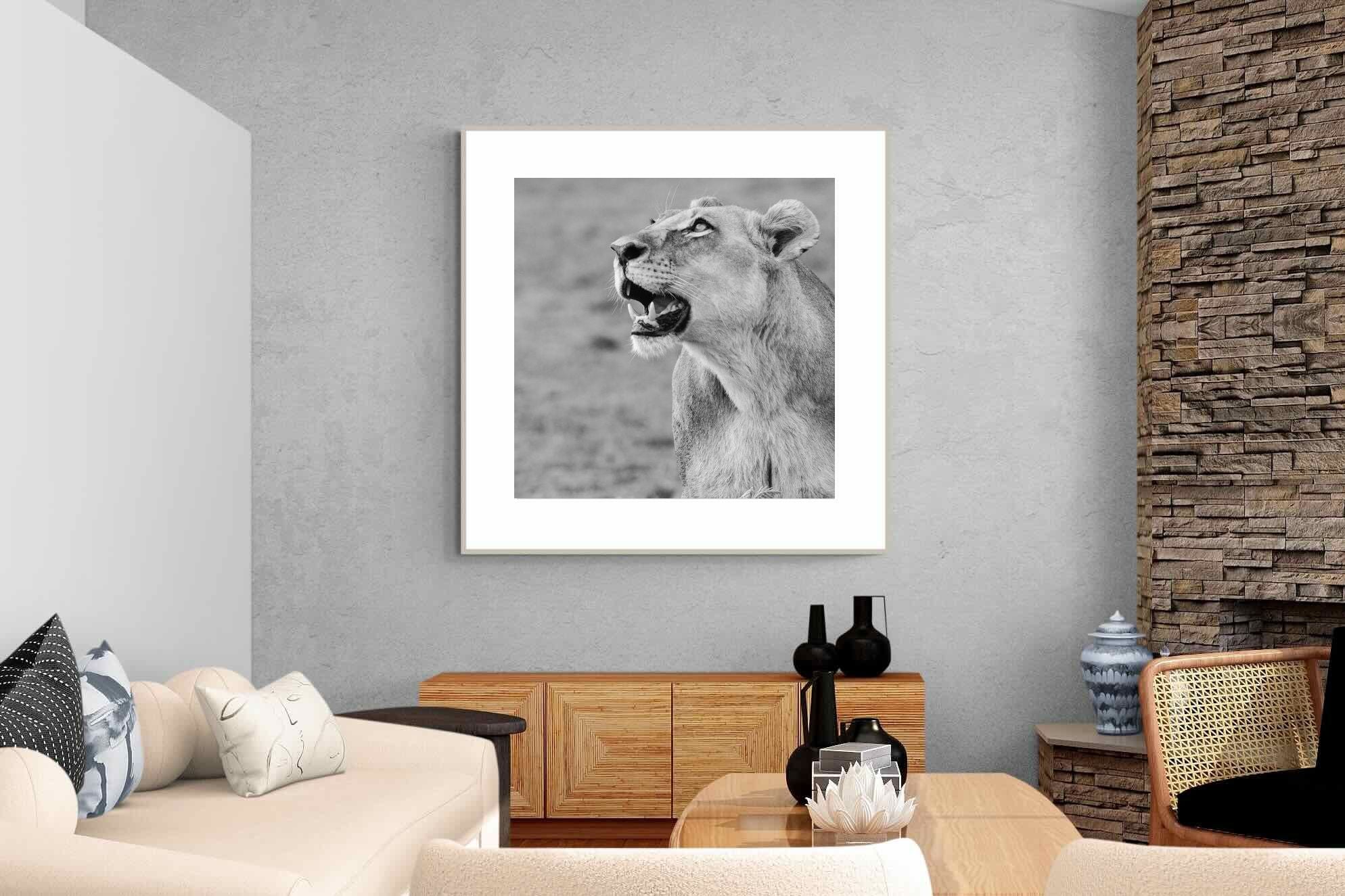 Pixalot Lioness Glance