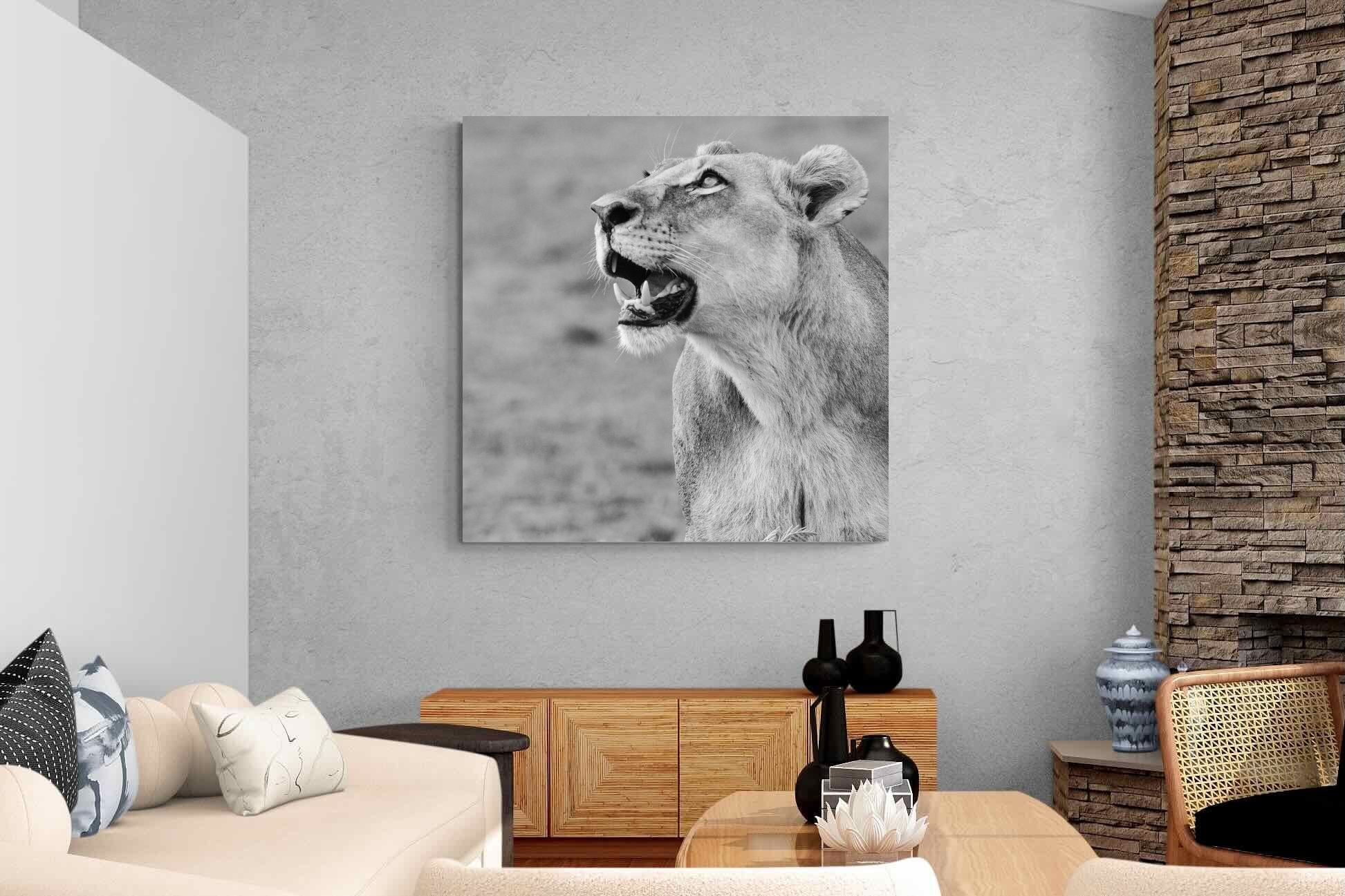 Pixalot Lioness Glance