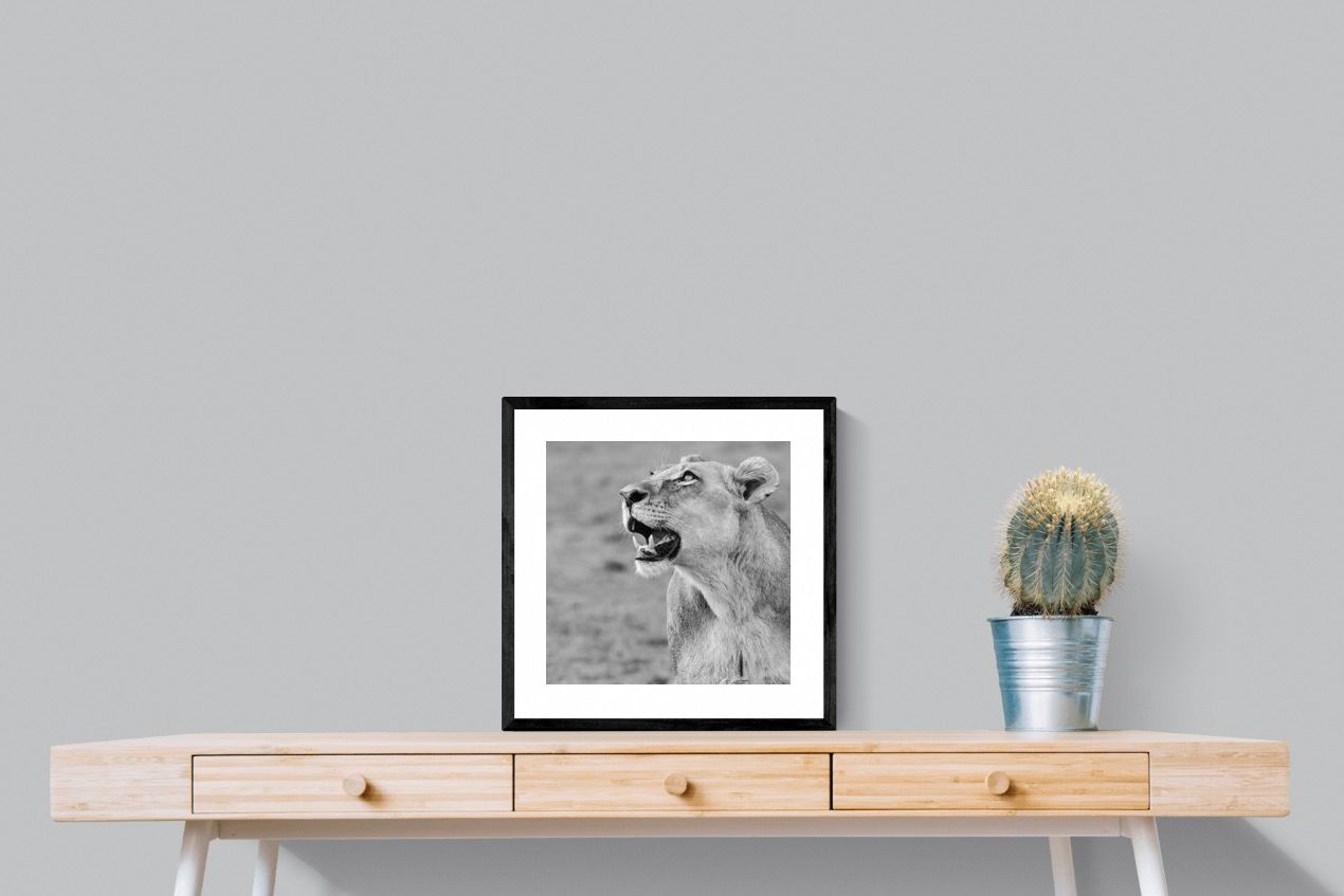 Pixalot Lioness Glance