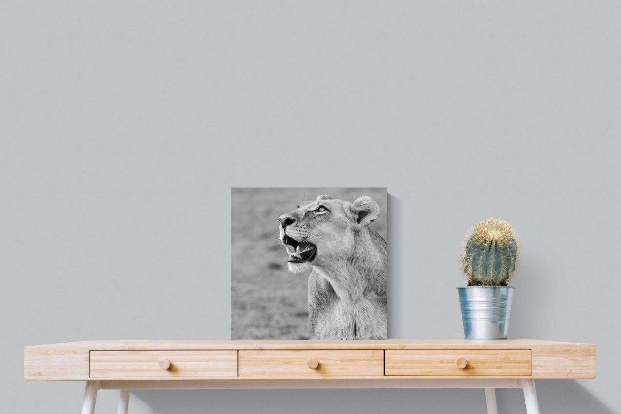 Pixalot Lioness Glance