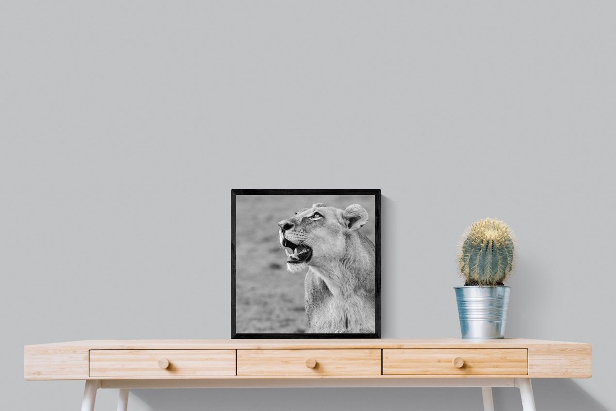 Pixalot Lioness Glance