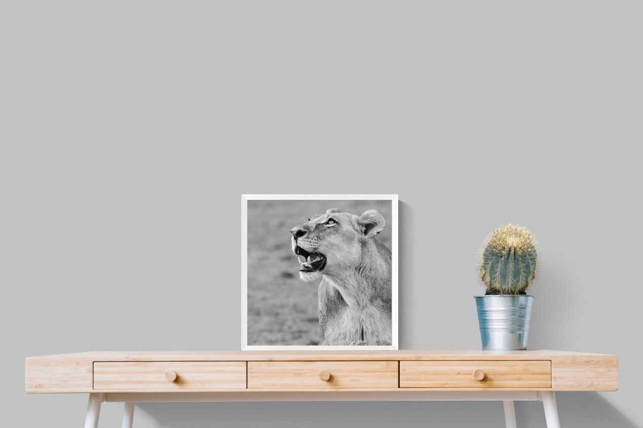 Pixalot Lioness Glance