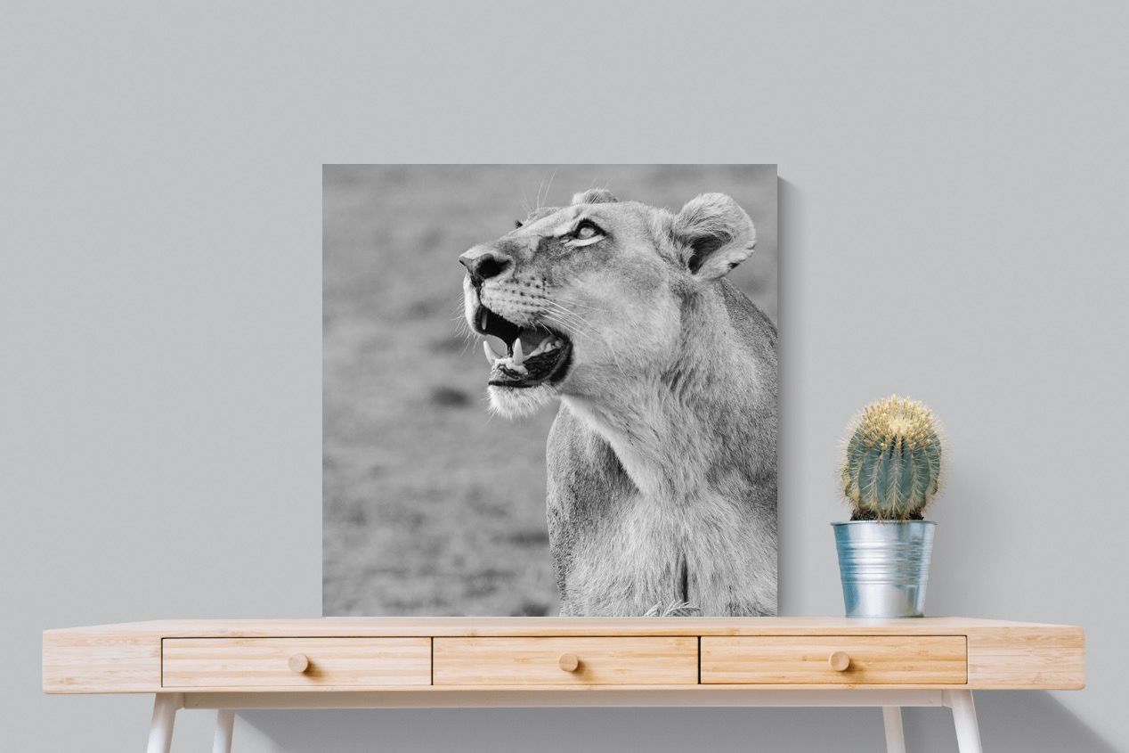 Pixalot Lioness Glance