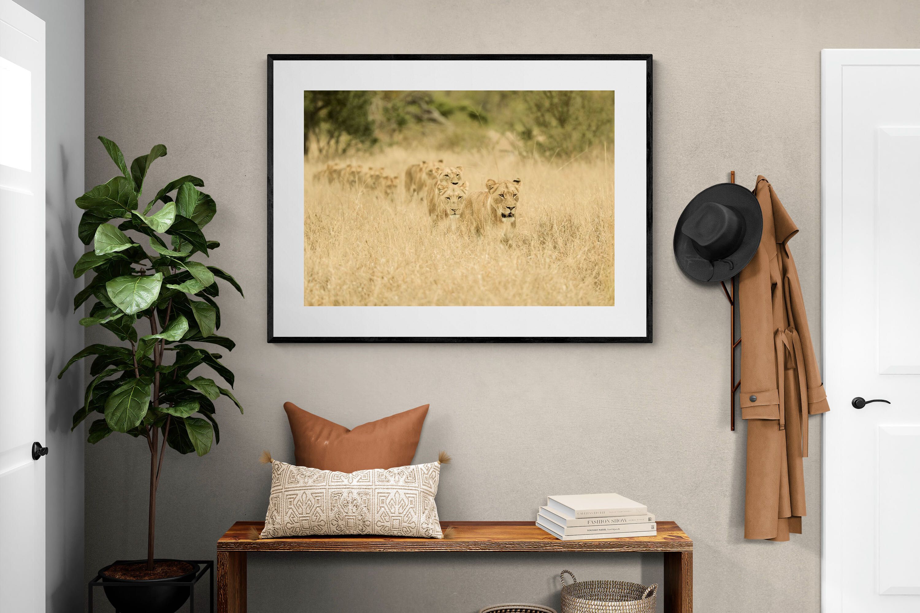 Pixalot Lionesses in Formation