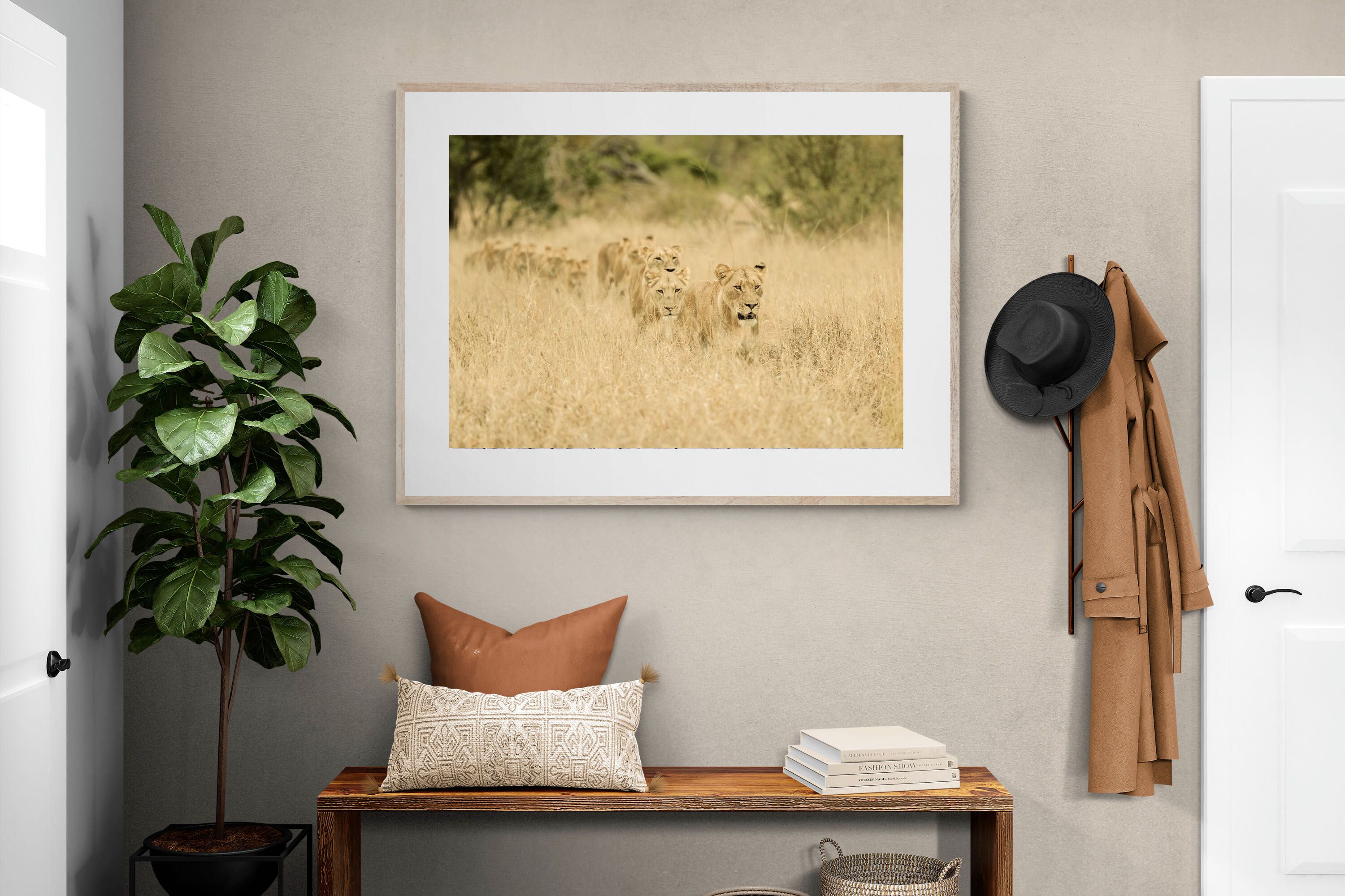 Pixalot Lionesses in Formation