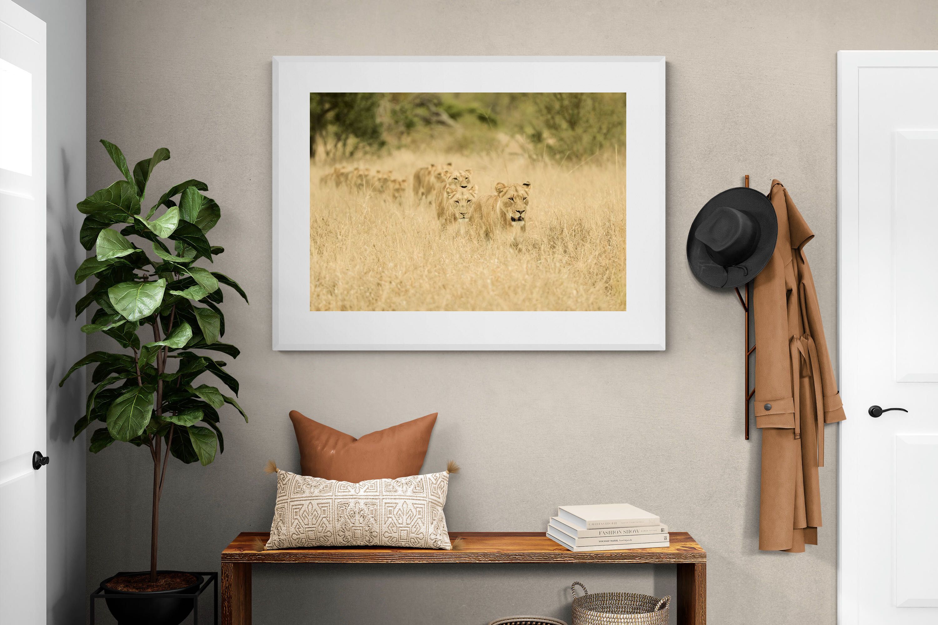 Pixalot Lionesses in Formation